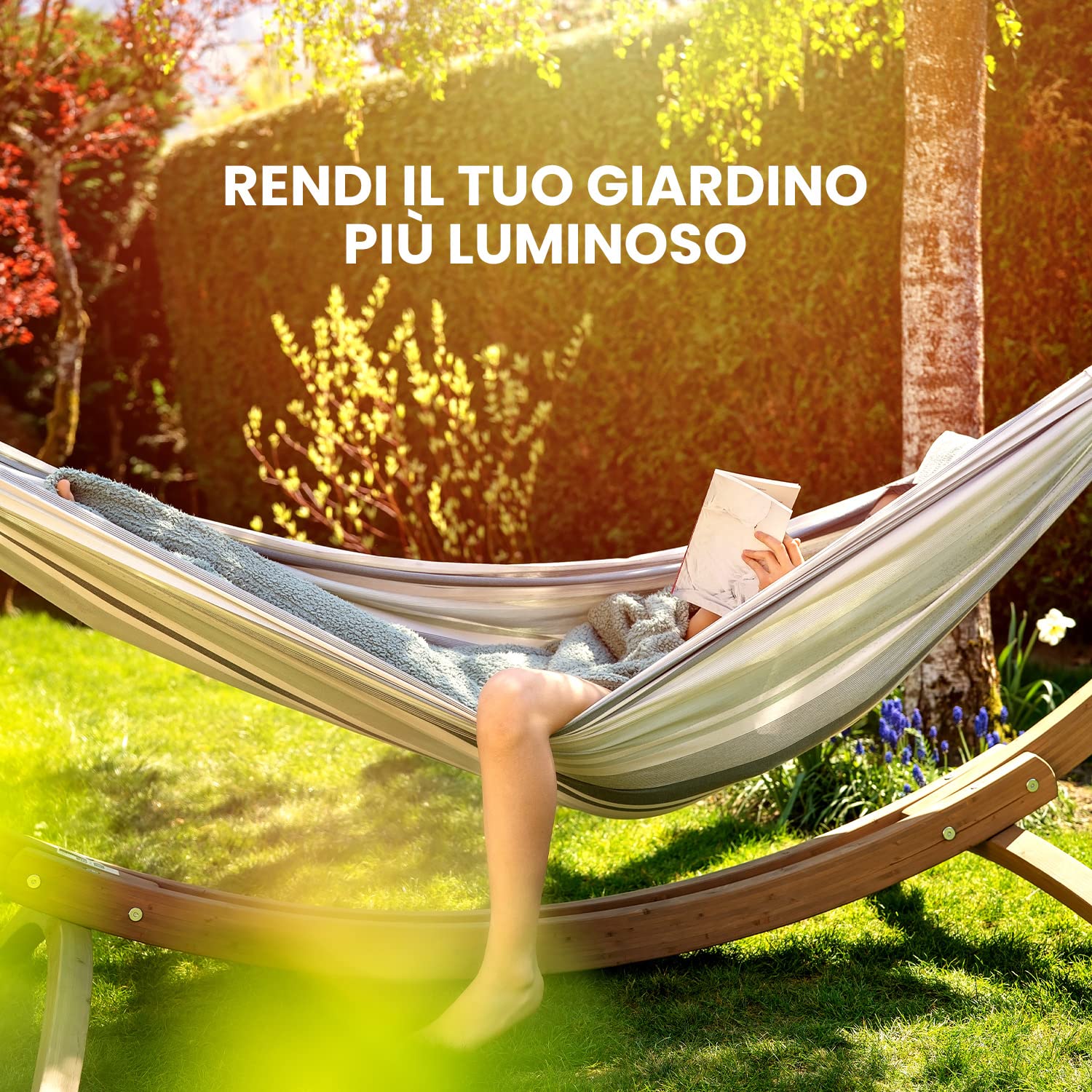 Semi Rigeneranti Prato - Set 2 Confezioni Da 500g, Resistenti Alla Siccità, Per Tutti I Terreni - Foto 6