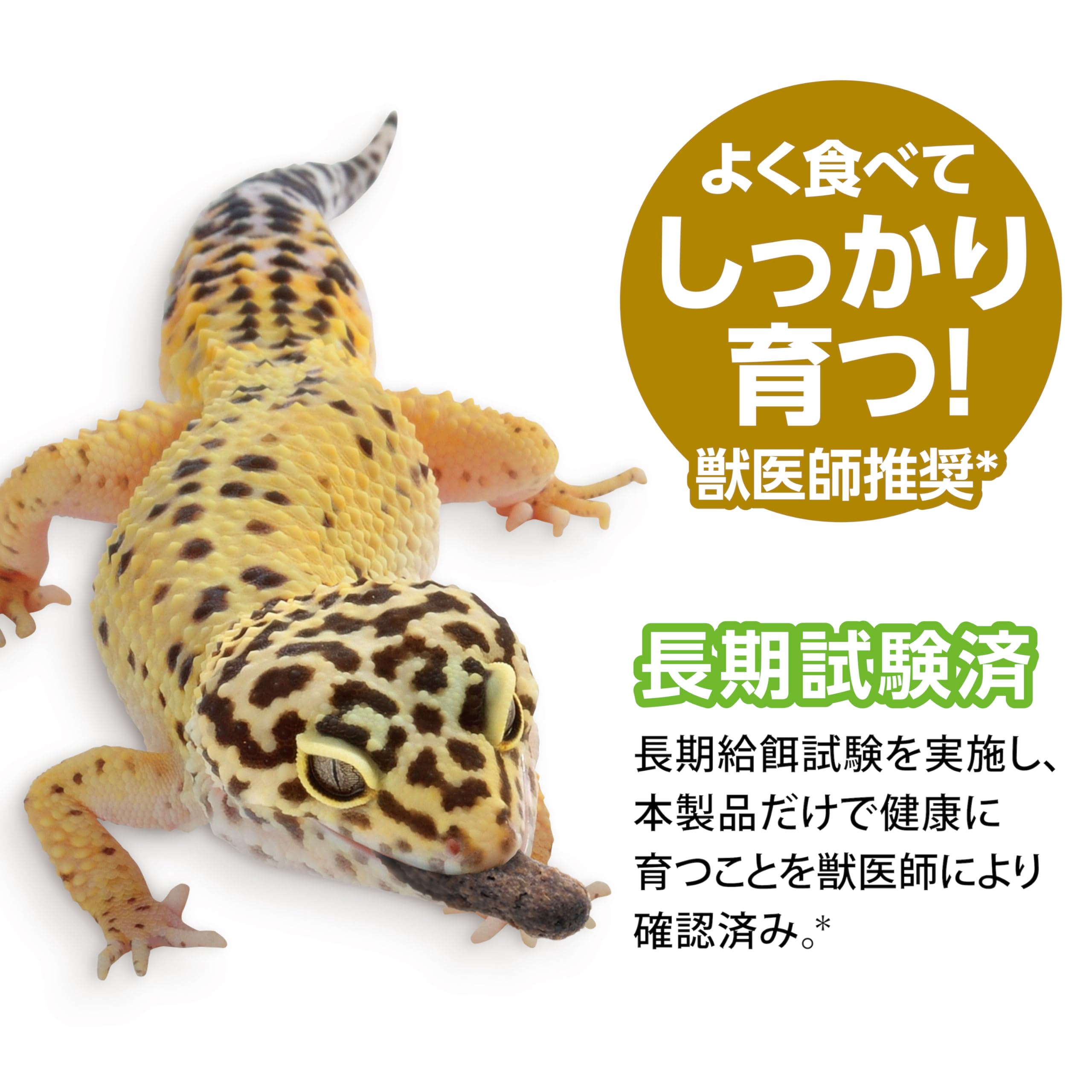 Amazon.co.jp: エキゾテラ GEX EXOTERRA 爬虫類用 レオパブレンド