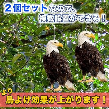 飾瓦 鷹 鳥よけ カラスよけ 瓦 飾瓦 鷹 鳥よけ カラスよけ 瓦 カラスよけ・対策に！おすすめ