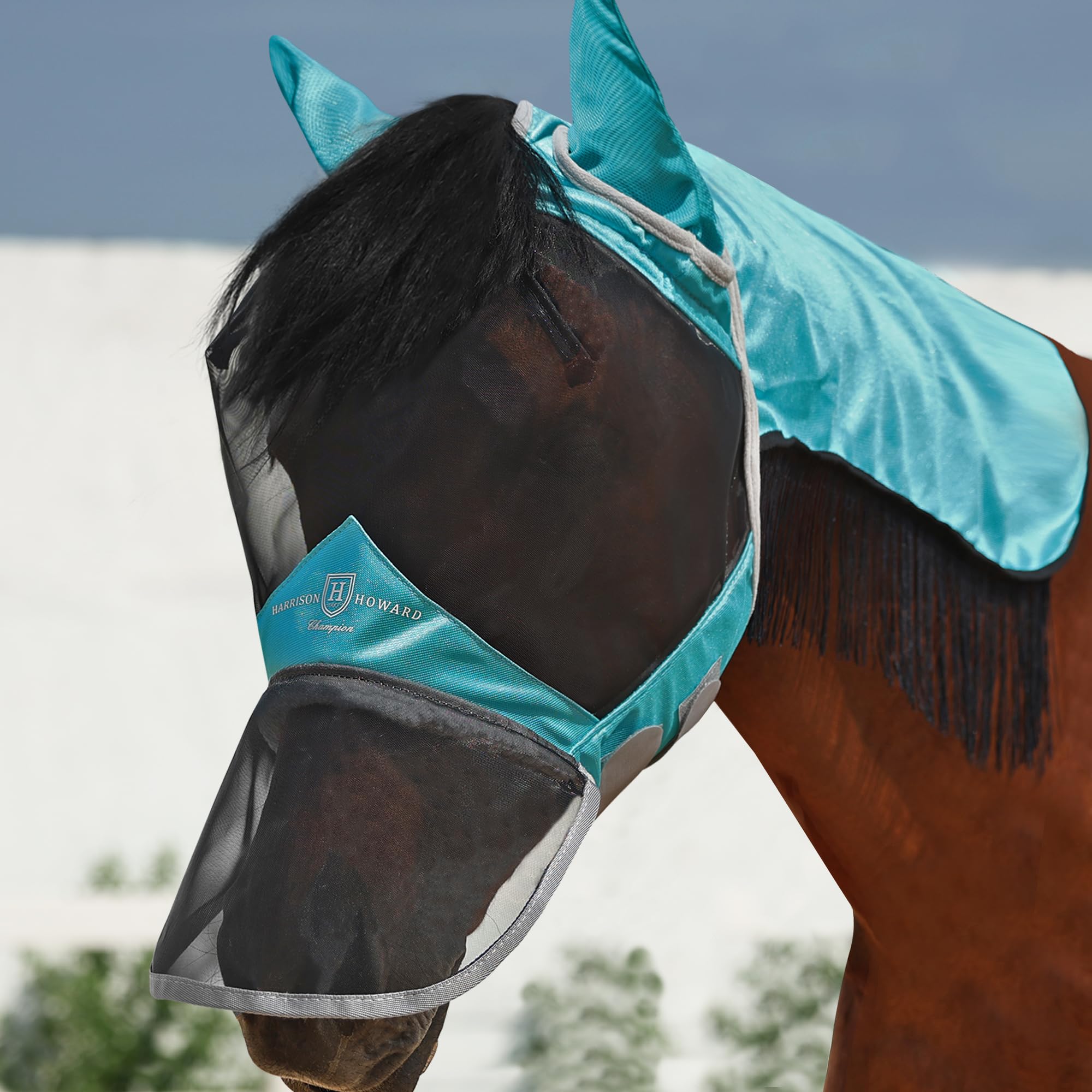Harrison Howard Pro Fly Mask with Extended Neck Cover Large Eye Space Full Face UV-Proof Mane Styling for Horse Teal M