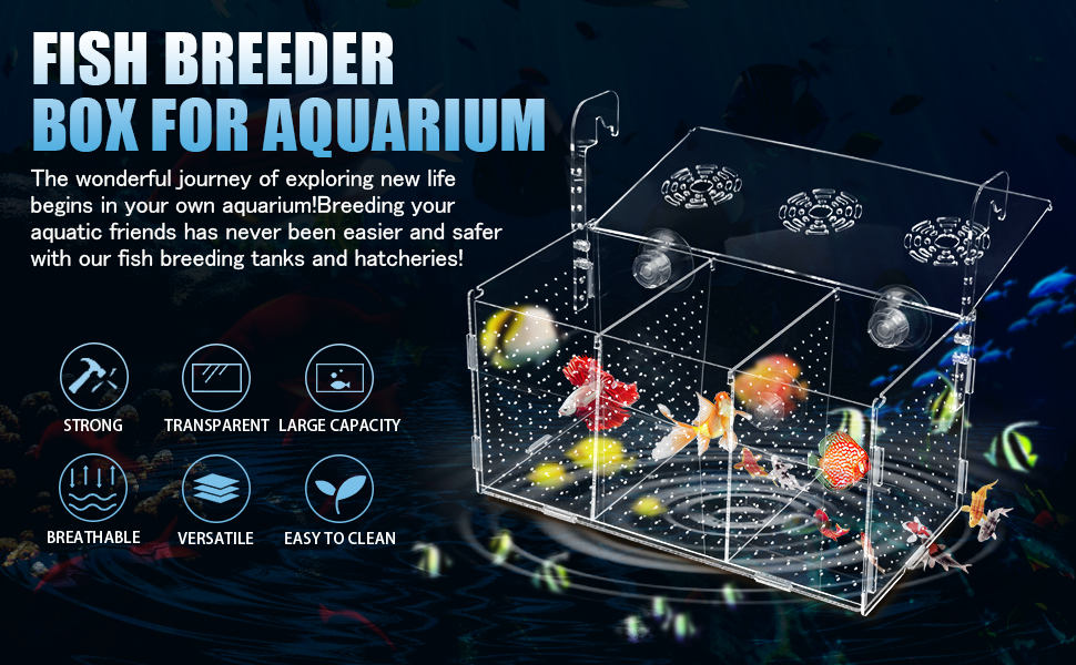 Amazon.com : ATPWONZ Fish Breeding Box, Acrylic Isolation Box