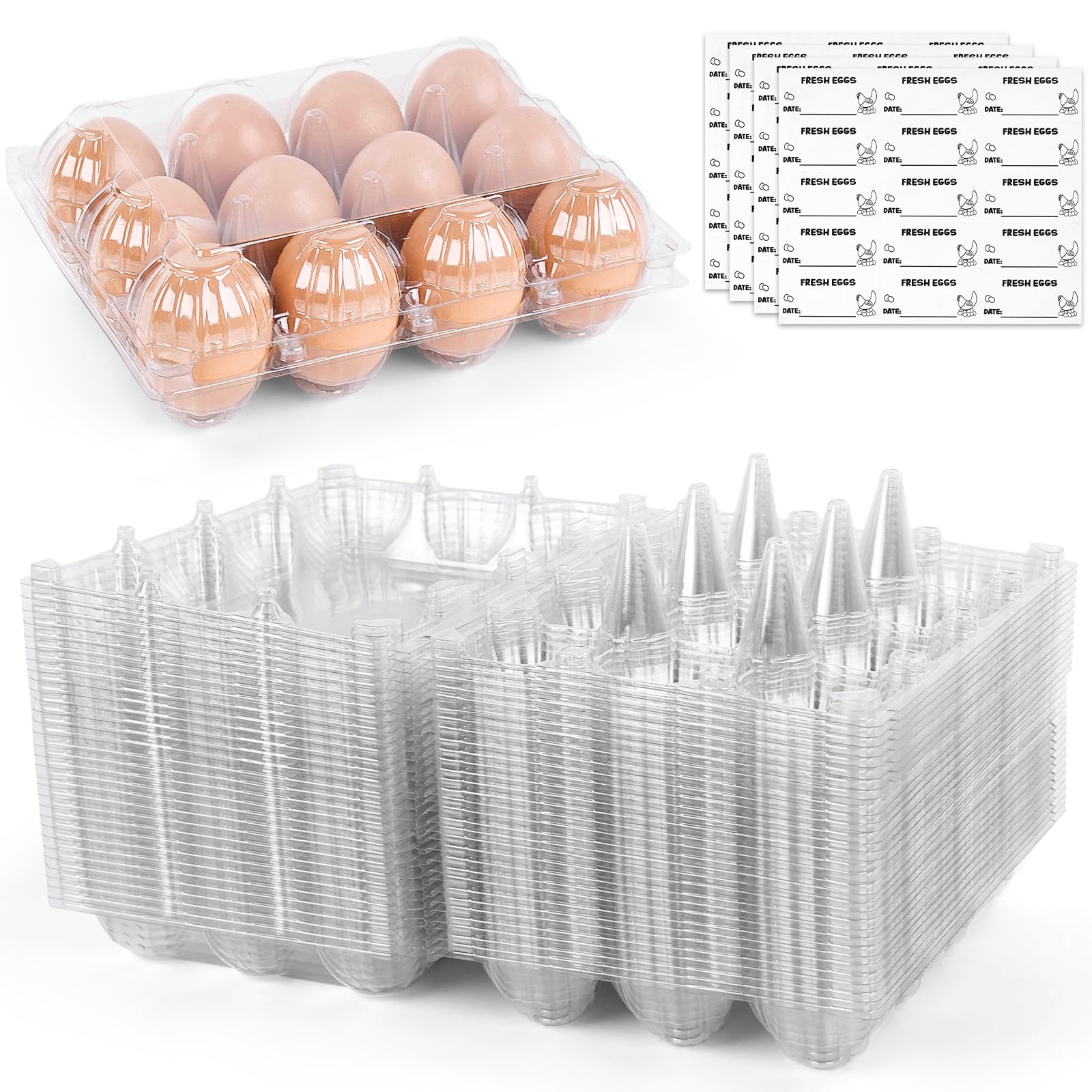 Buy egg cartons Online in New Zealand at Low Prices at desertcart