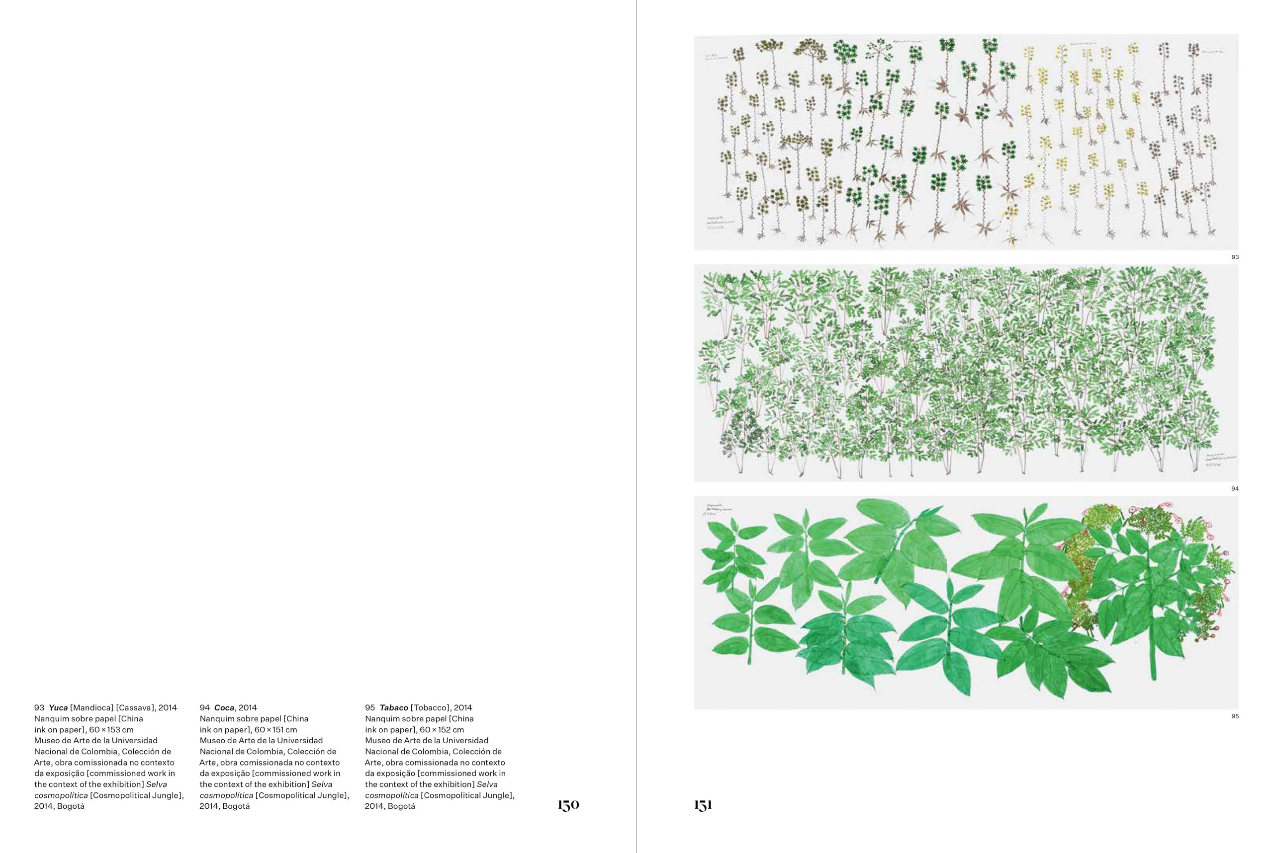 Abel Rodríguez (Mogaje Guihu): The Tree of Life and Abundance