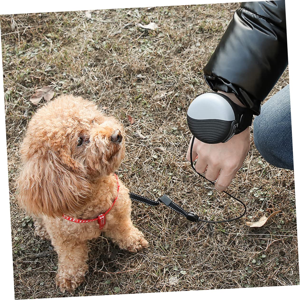 GANAZONO 1pezzi Guinzaglio Per Cani Estensibile Nylon Con Maniglia Comfort Cintura Di Addestramento Per Passeggiate Jogging e Attività All Aperto Accessorio Pratico Per Animali Domestici