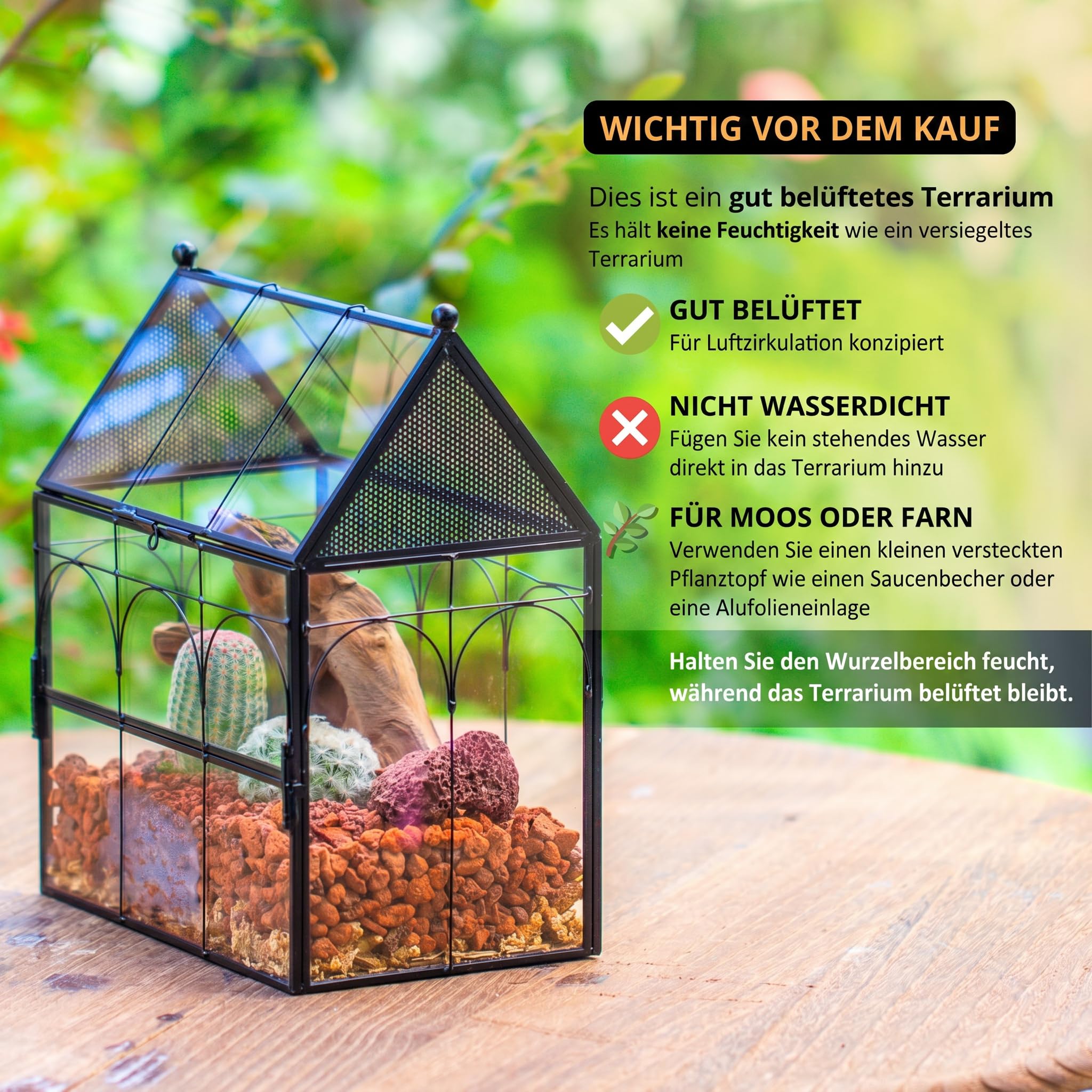 NCYP 19x12,5x23 cm Glasgehäuse mit Belüftungslöchern für Insekten, Spinnen, schwarz kleine geschlossene in Hausform mit vorne öffnende Tür (Ohne Pflanzen und Requisiten)