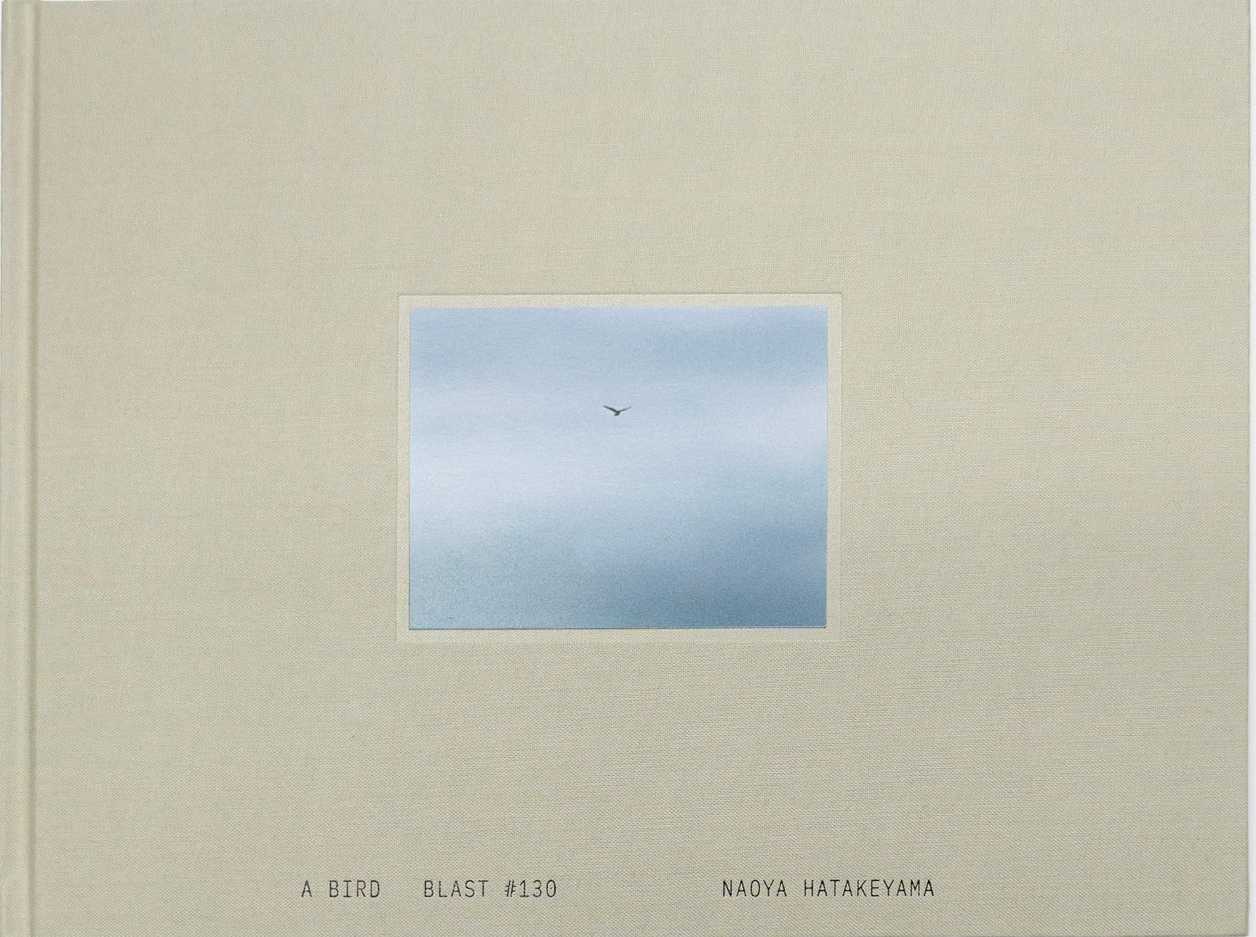 畠山直哉写真集『Ａ ＢＩＲＤ ＢＬＡＳＴ＃１３０』ｒｏｓｈｉｎｂｏｏｋｓ Amazon.co.jp: A BIRD Blast #130 : 畠山直哉: 本