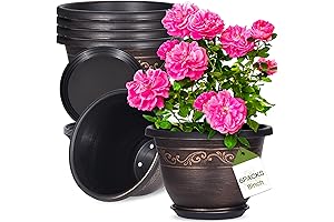 8 Inches Flower Pots