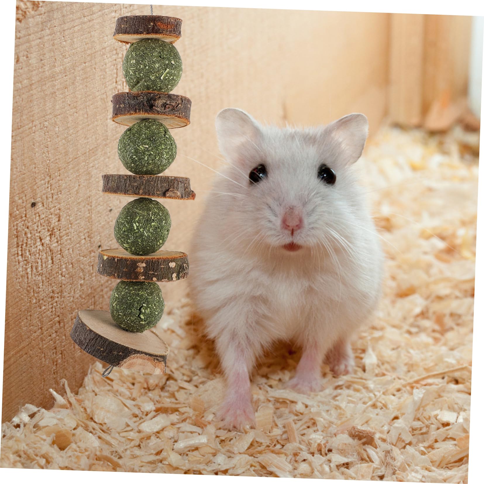 BESPORTBLE 6stücke Apfelholz-kauspielzeug Für Kleintiere Sicheres Und Praktisches Kau Hamster Und Kaninchen Spiel Und Intelligenz