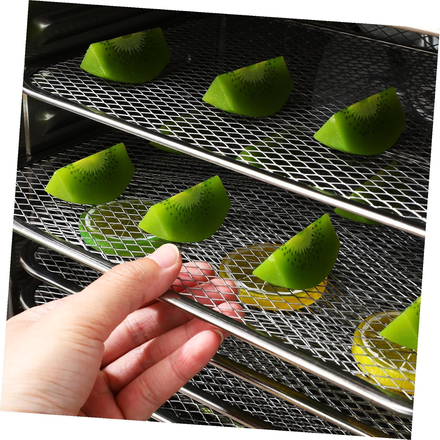 NUOBESTY Professional Food Dehydrator for Jerky with Temperature Timer Stainless Steel Dual Dryer Machine for Meat Seafood Fruits Veggies Snacks US Plug for Home Commercial Use