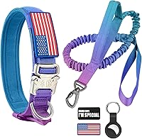 Vista 8 de Collar táctico de nailon para perro, hebilla de metal resistente con asa para entrenamiento de perros, con parches (XL, negro)