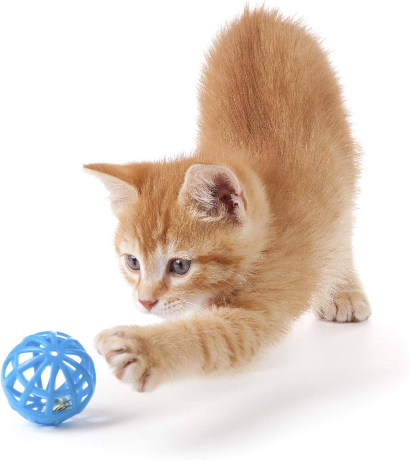 cat Joint Supplement Powder - Cats Turmeric Joint Health Complex - Supports Hip and Joint AID - cat glucosamine Chews - 3 Bottles (180 Tablets)