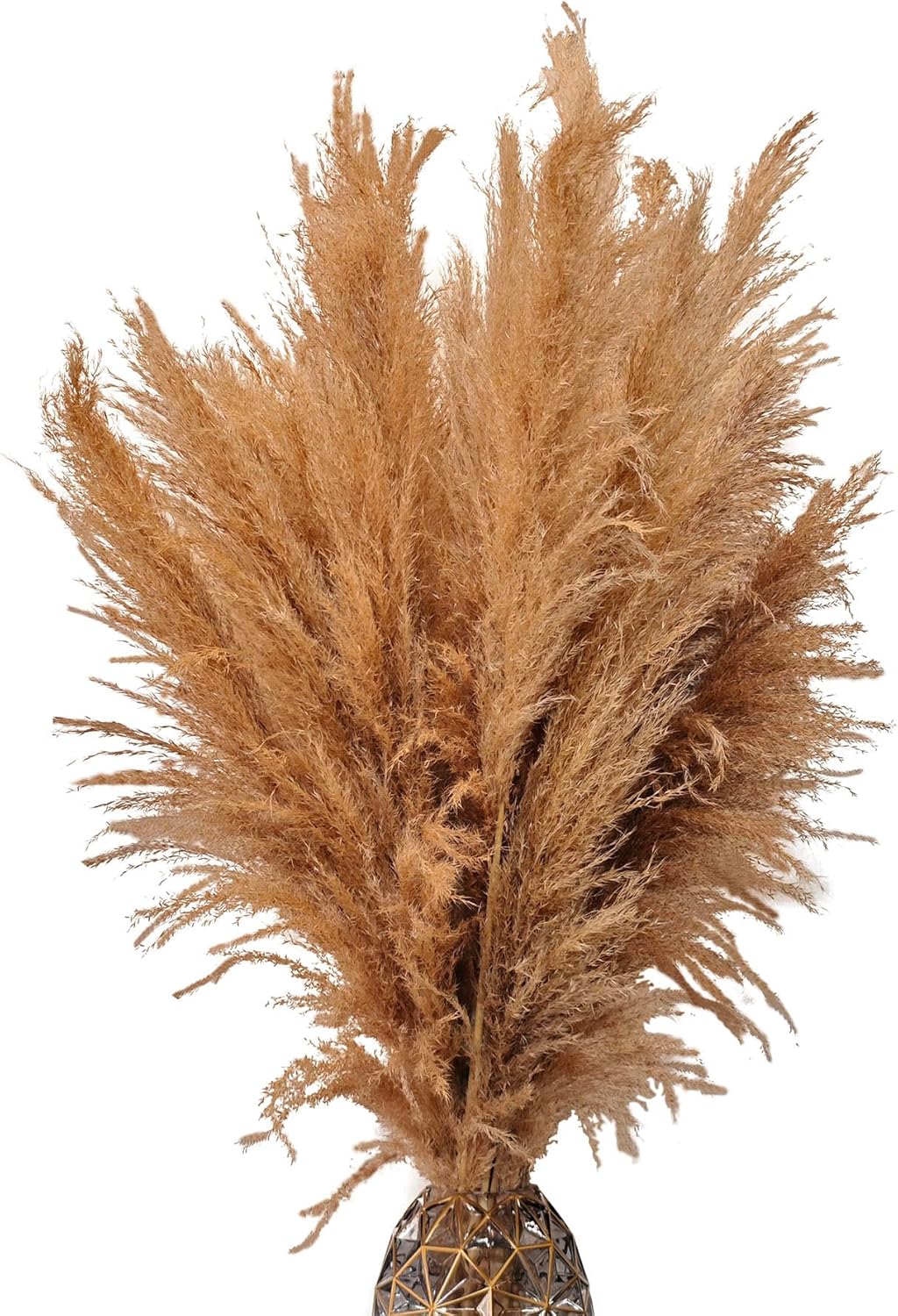 20 PCS 40 inches Bohemian Style Handpicked Pampas Grass Dried Flowers, Big Pampas Grass, Fluffy Grass, Dried Flowers for Wedding, Party