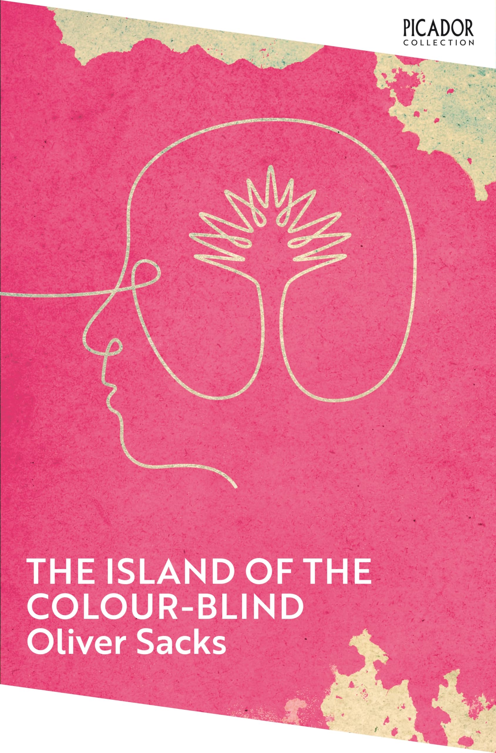 The Island of the Colour-blind (Picador Collection)