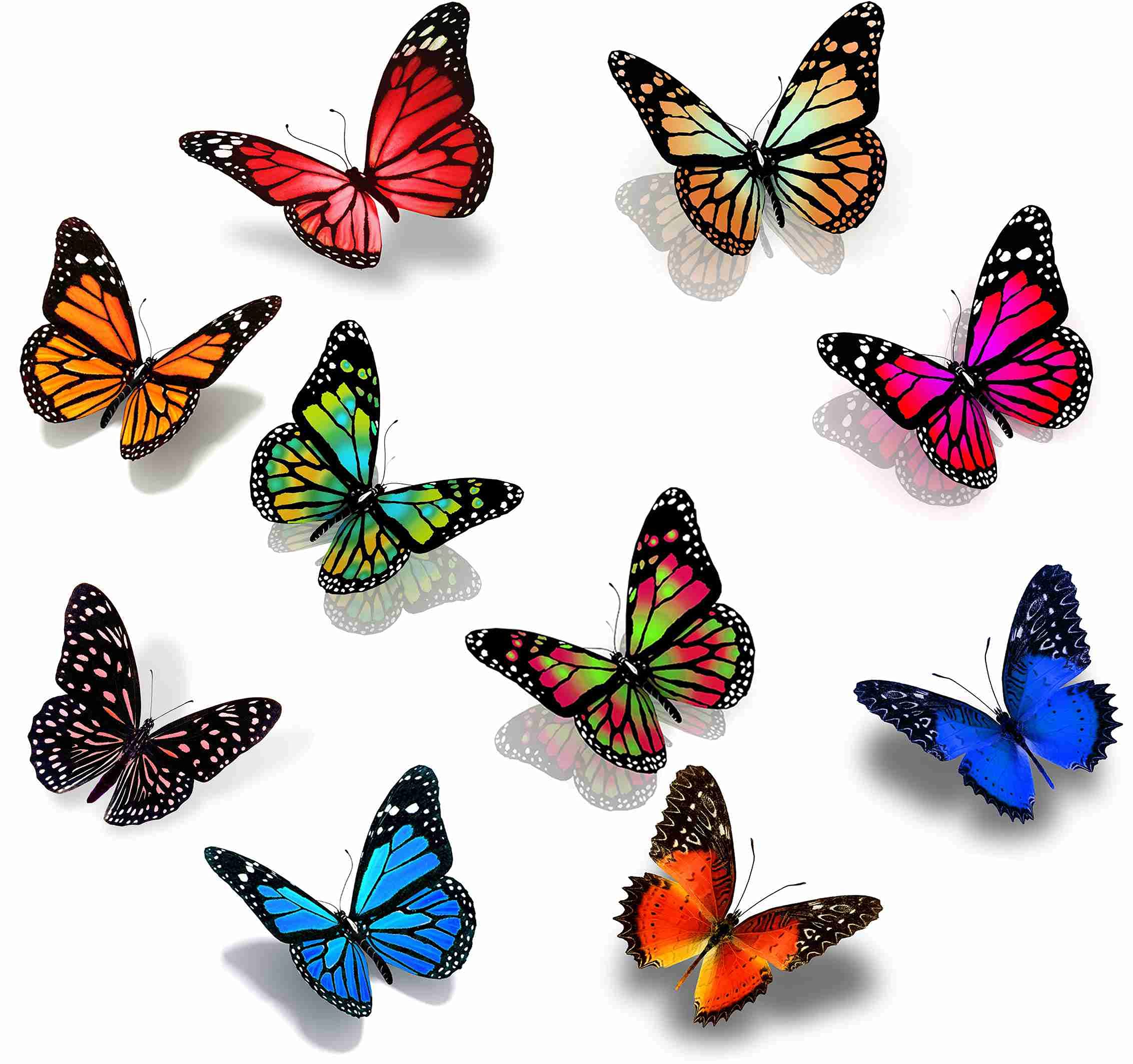 Buy 12 Sheets Temporary Tattoos Red Lacewing Butterfly and Blue