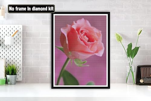 Bimkole Kit de pintura de diamantes 5D rosa rosa, flores de taladro completo, juego de bordado de diamantes de imitación de bricolaje con diamantes