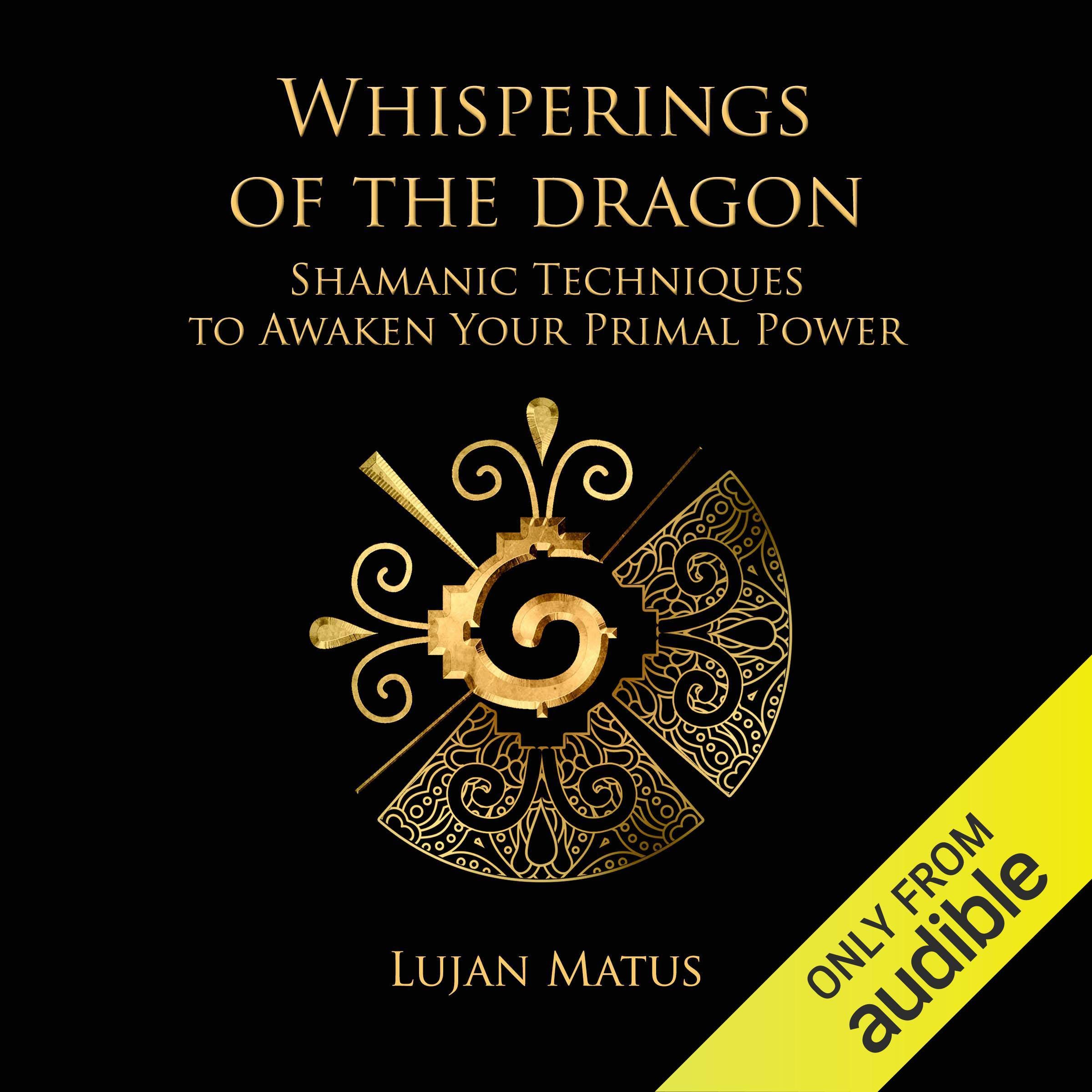 Cover art for Whisperings of the Dragon