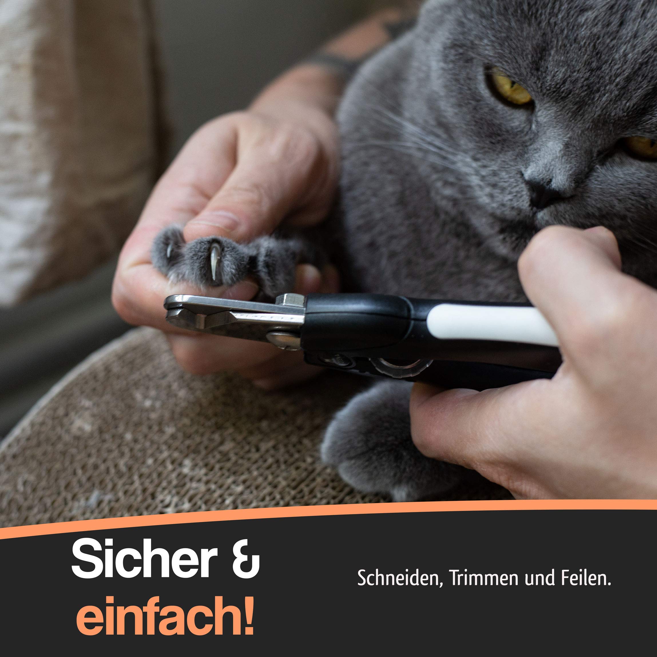1x Weiße Krallenschere Für Katzen & Hunde – Abgeschrägt, Ergonomisch, Sicher Für Anfänger