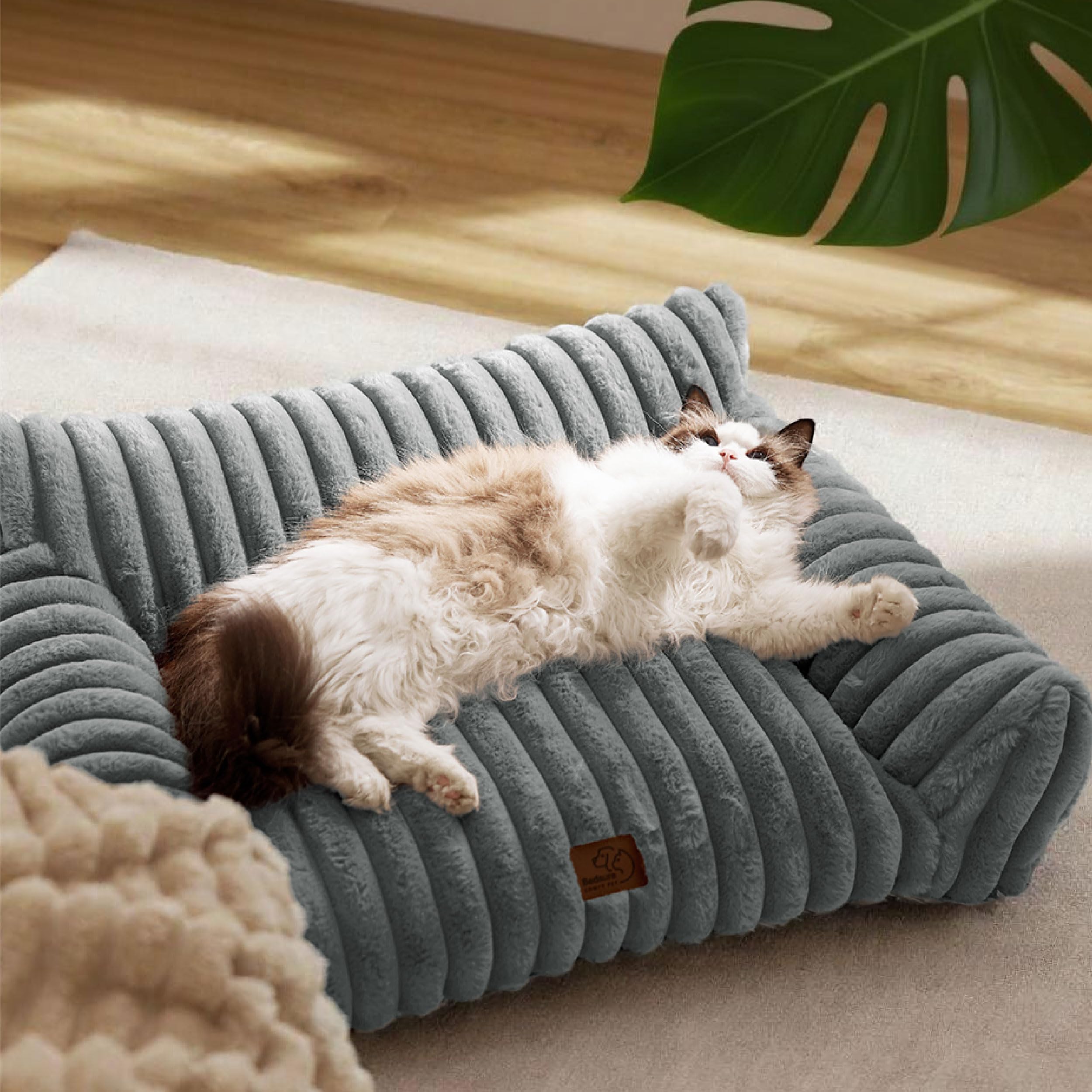 BEDSURE Katzenbett groß orthopädisches Hundesofa - 76x51x25cm Hundebett kleine Hunde waschbar Katzensofa große Katzen rutschfeste Katzencouch, dunkelgrau