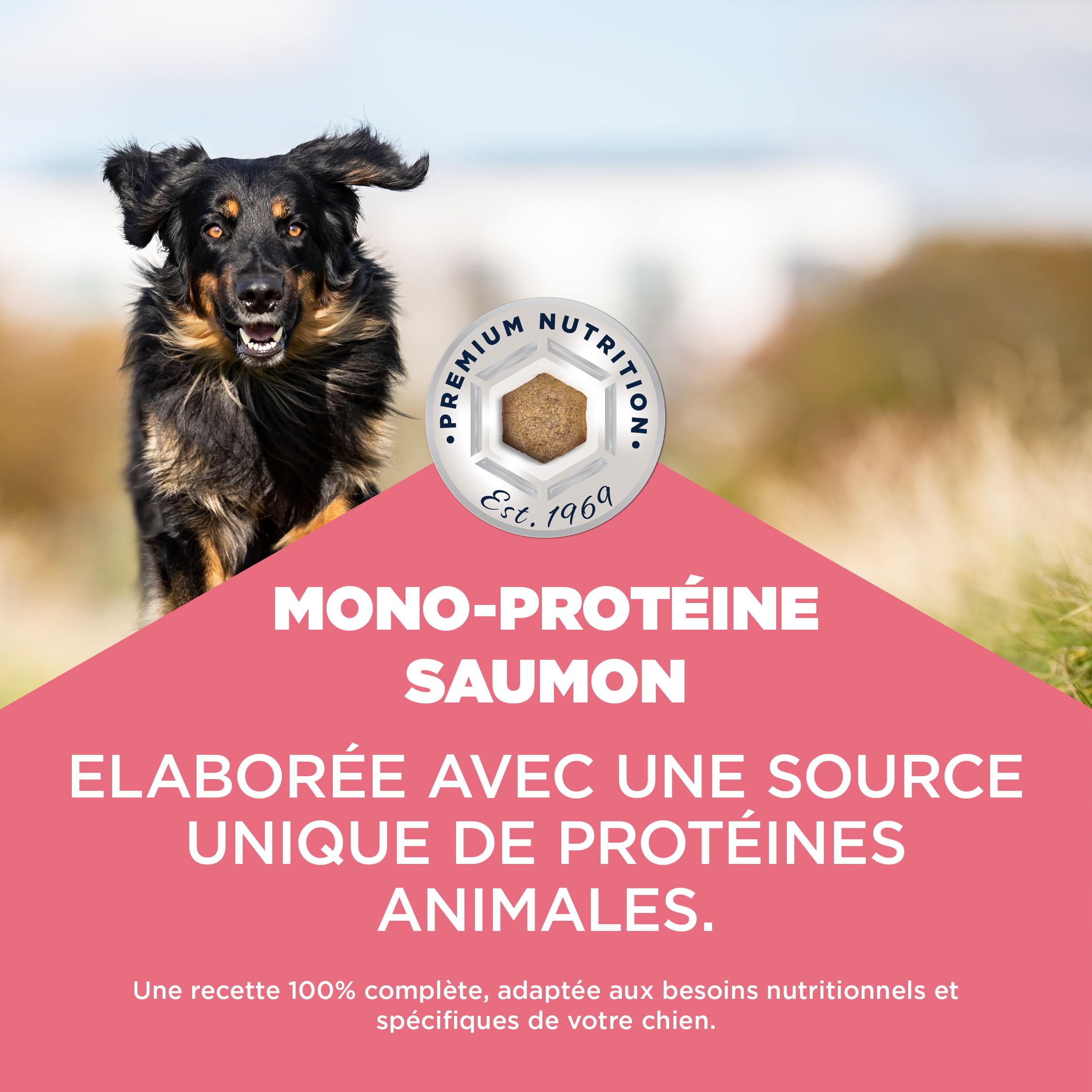EUKANUBA Mono-Protéine Aliment pour Chiens au Saumon - Aliment Sec Special Care Uniquement à Base de Saumon, Source de protéines animales, Formule hypoallergénique, 12 kg
