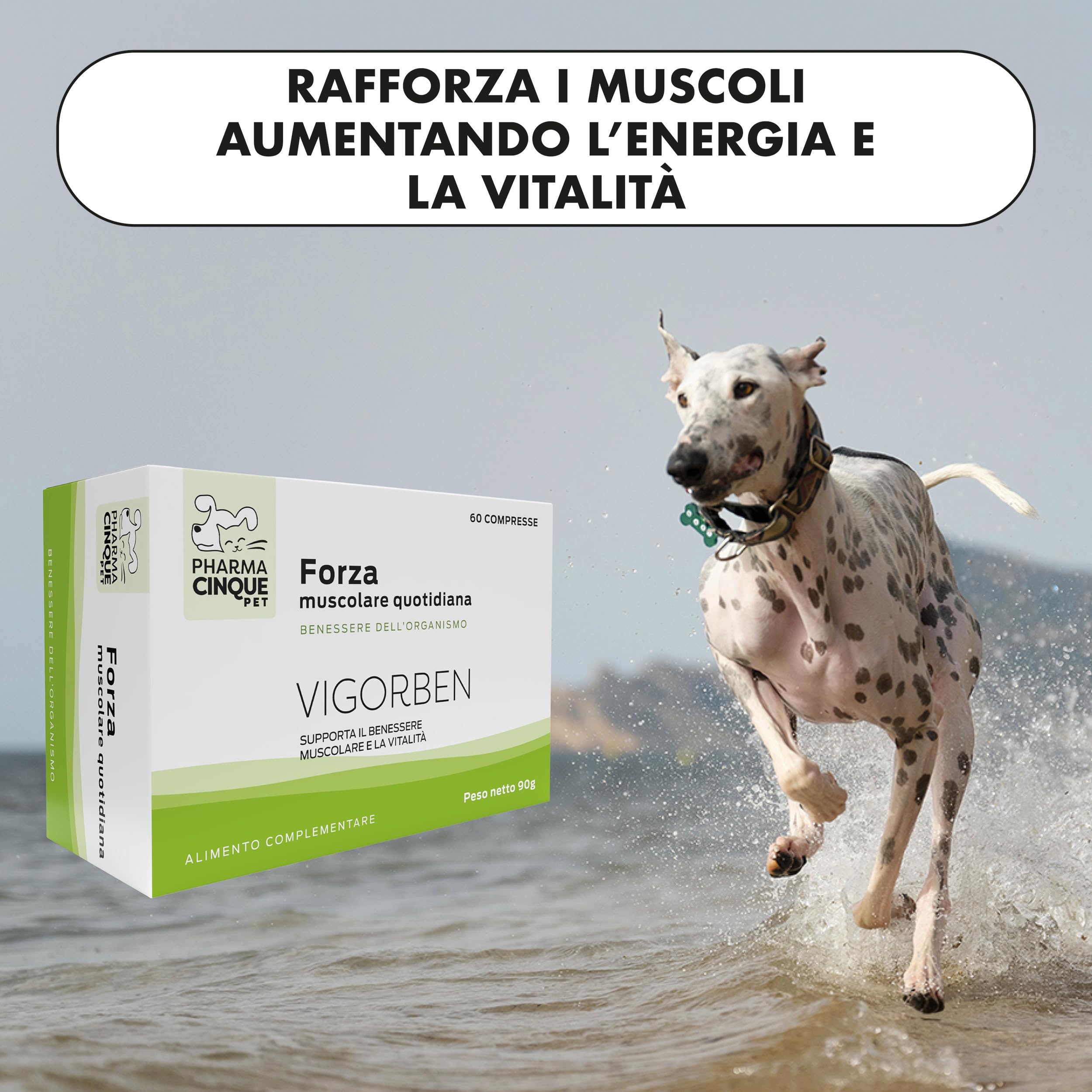 Pharmacinquepet – VIGORBEN Integratore Per Cani E Gatti, Mantiene La Massa Muscolare, Migliora La Forza E La Resistenza, Previene Gli Infortuni. Alta Appetibilità. 60 Compresse.