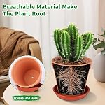 6 Pack 6 Inch Terracotta & Clay Pots with Saucer for Plants, Large Terra Cotta Plant Pot with Drainage Hole, Flowerpot for Indoor Outdoor Plants, Crafts, Wedding Favor