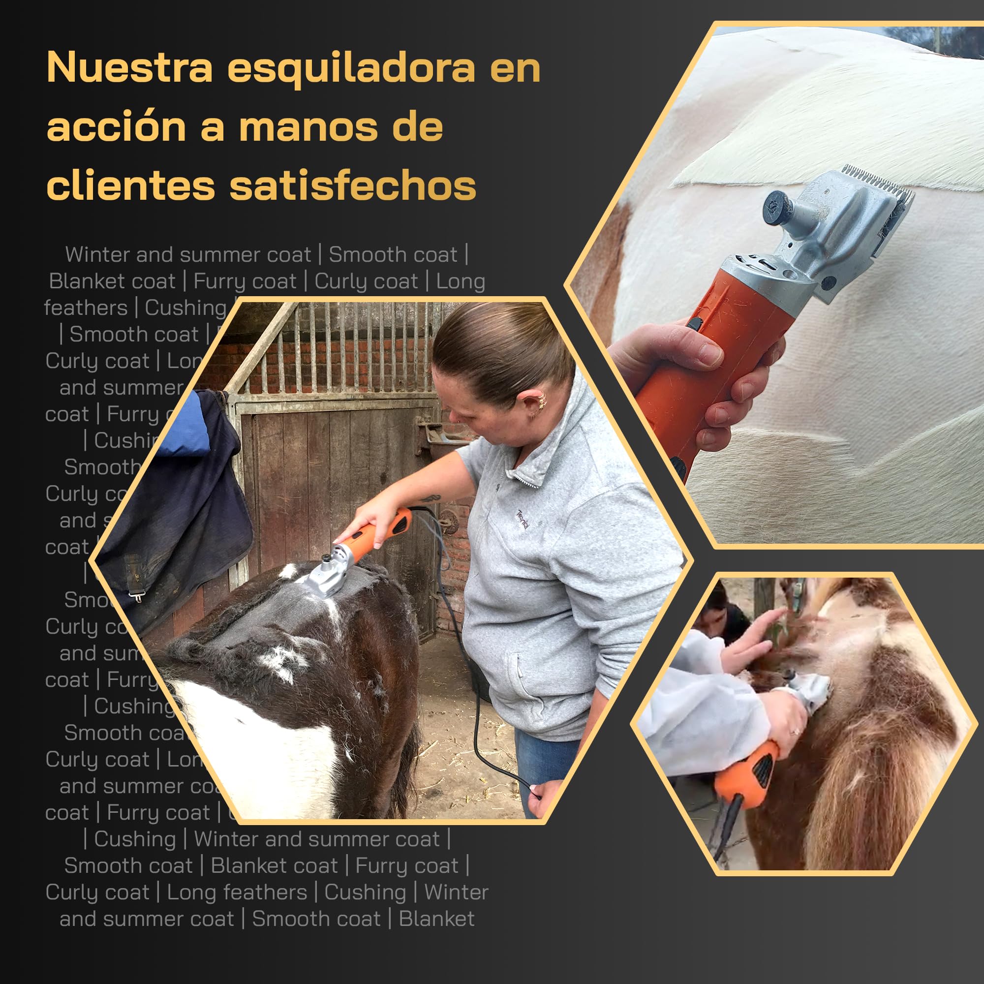 Máquina de Esquilar Caballos KNEIZER – Kit Completo con Accesorios – Cuchillas Intercambiables – Silenciosa y con Baja Vibración – Para Todo Tipo de Pelaje y Zonas del Cuerpo – Sin Mantenimiento
