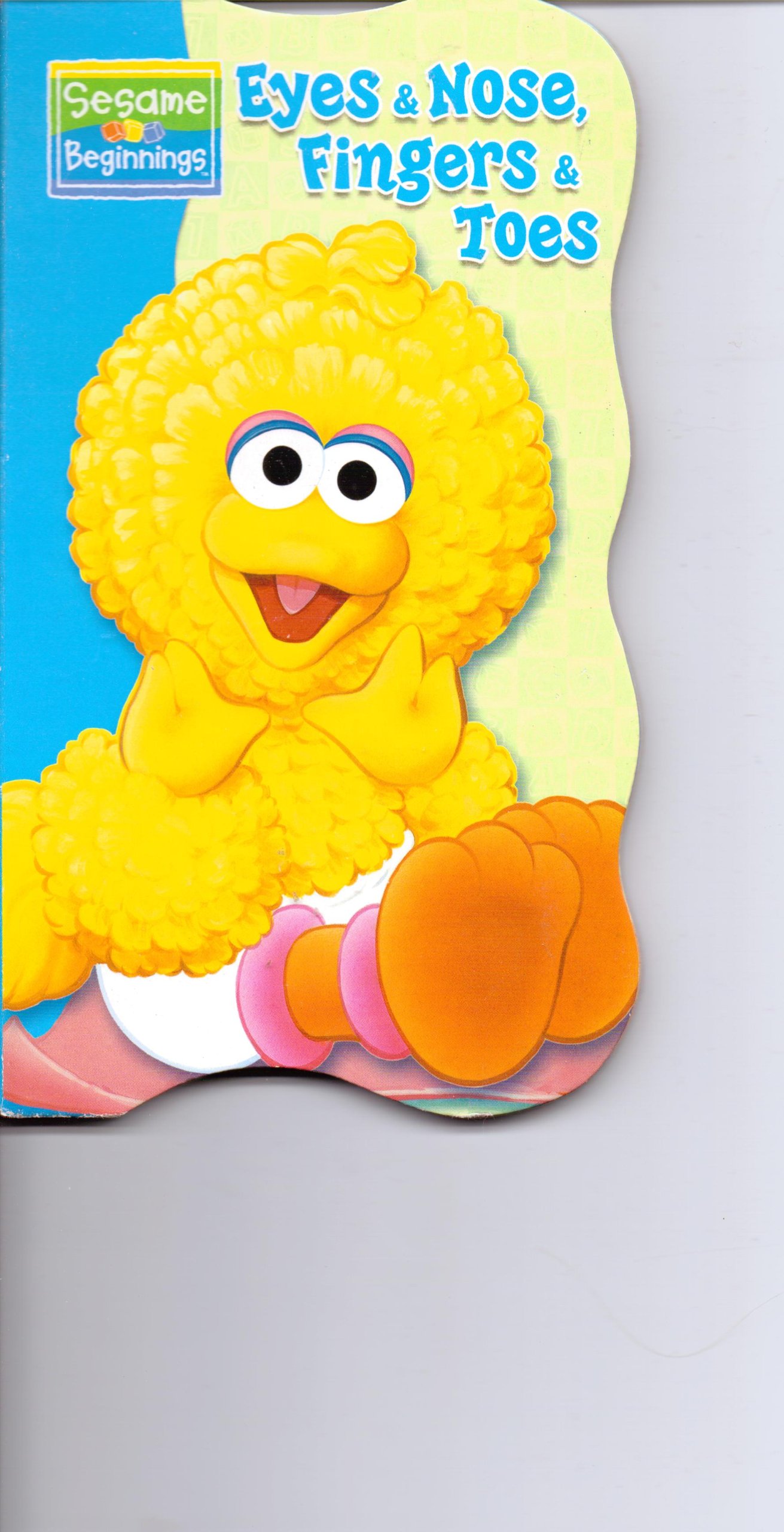 Eyes & Nose, Fingers & Toes (Sesame Beginnings) Board book – January 1, 2007