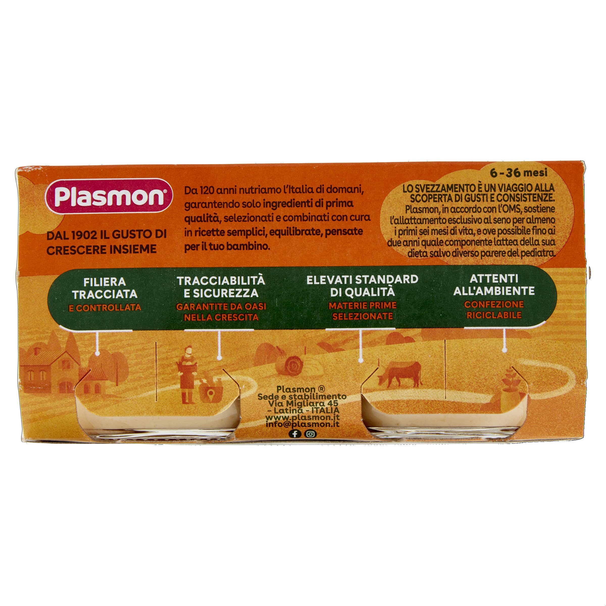 Plasmon Omogeneizzato Formaggino Fuso e Prosciutto 80g 24 Vasetti Con formaggi selezionati, senza aromi aggiunti