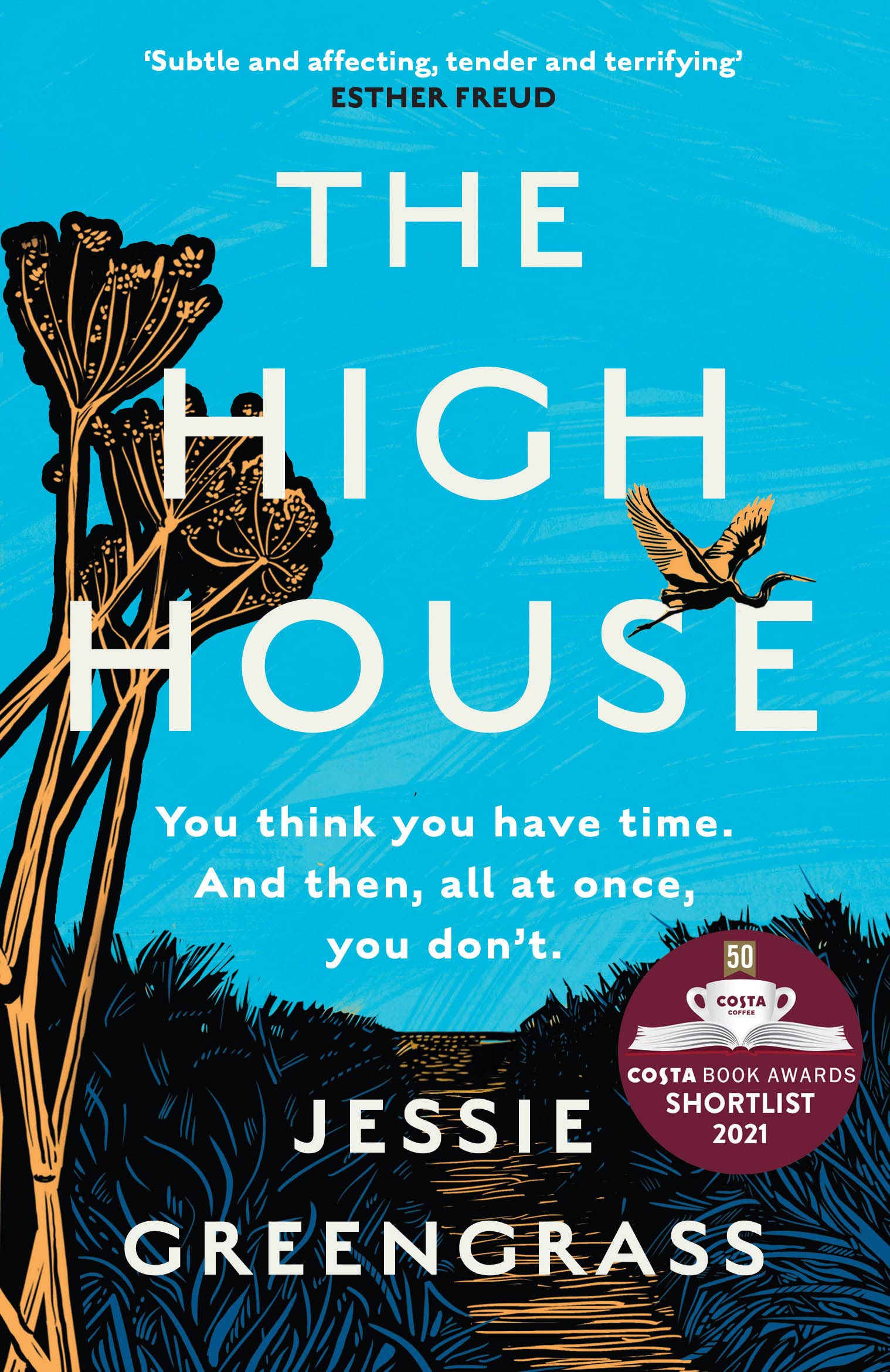 The High House: Shortlisted for the Costa Best Novel Award
