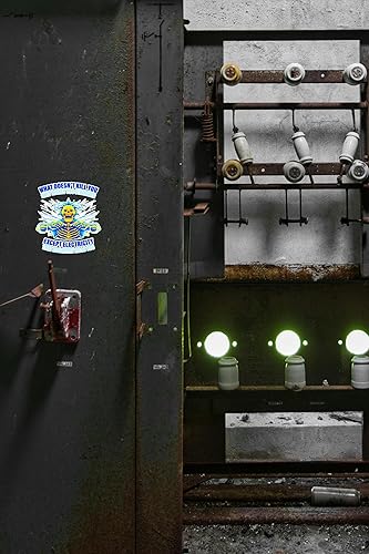 Miniatura 4 de WSQ Paquete de 2 calcomanías de vinilo con texto en inglés «What Doesn't Kill You Only Makes You Stronger Except Electricity», 4 pulgadas,