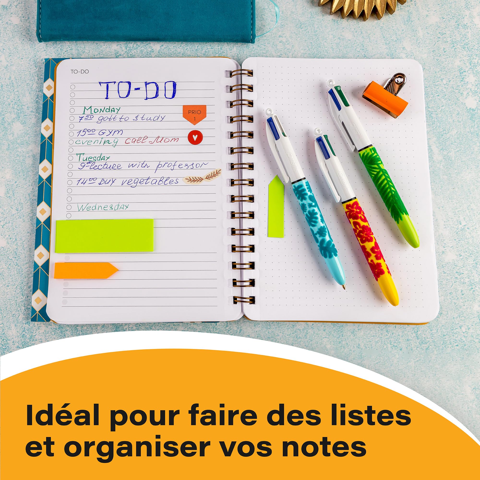 BIC 4 Couleurs Velours - Stylos-Bille Pointe Moyenne (1,0 mm) - Corps Assortis Motifs Jungle, Fleurs et Gecko, Tubo de 30