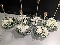 Review Image by Sharon Mishler