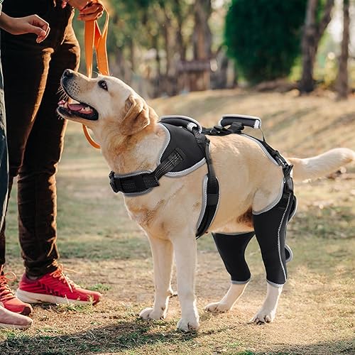 Miniatura 2 de Rodillera para perro ACL para desgarro del ligamento cruzado anterior y rótula luxante, soporte ajustable para piernas con suficiente envoltura y