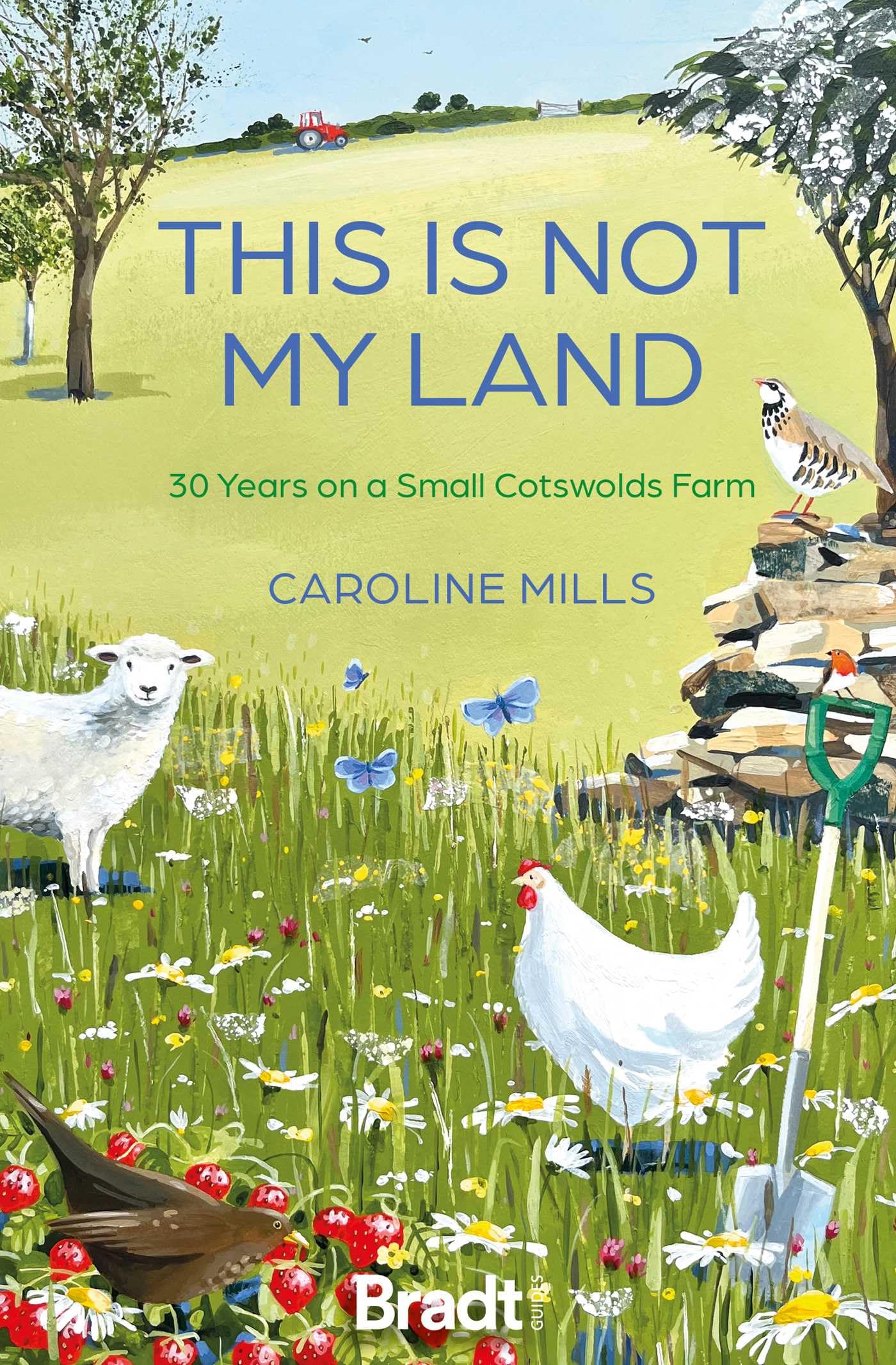 This is not my land by Caroline Mills PAPERBACK 9781804693476