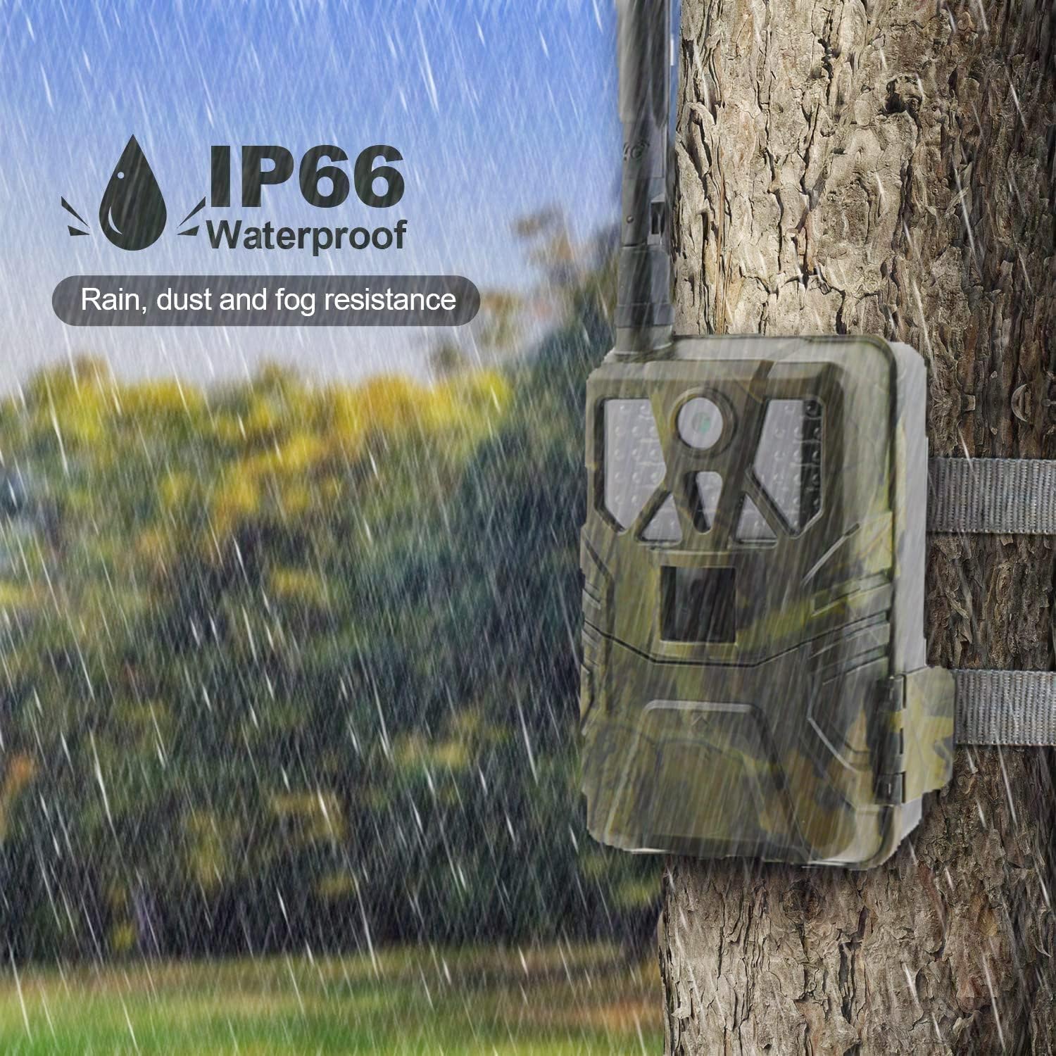 Trail camera mounted on a tree in the rain, with IP66 waterproof logo