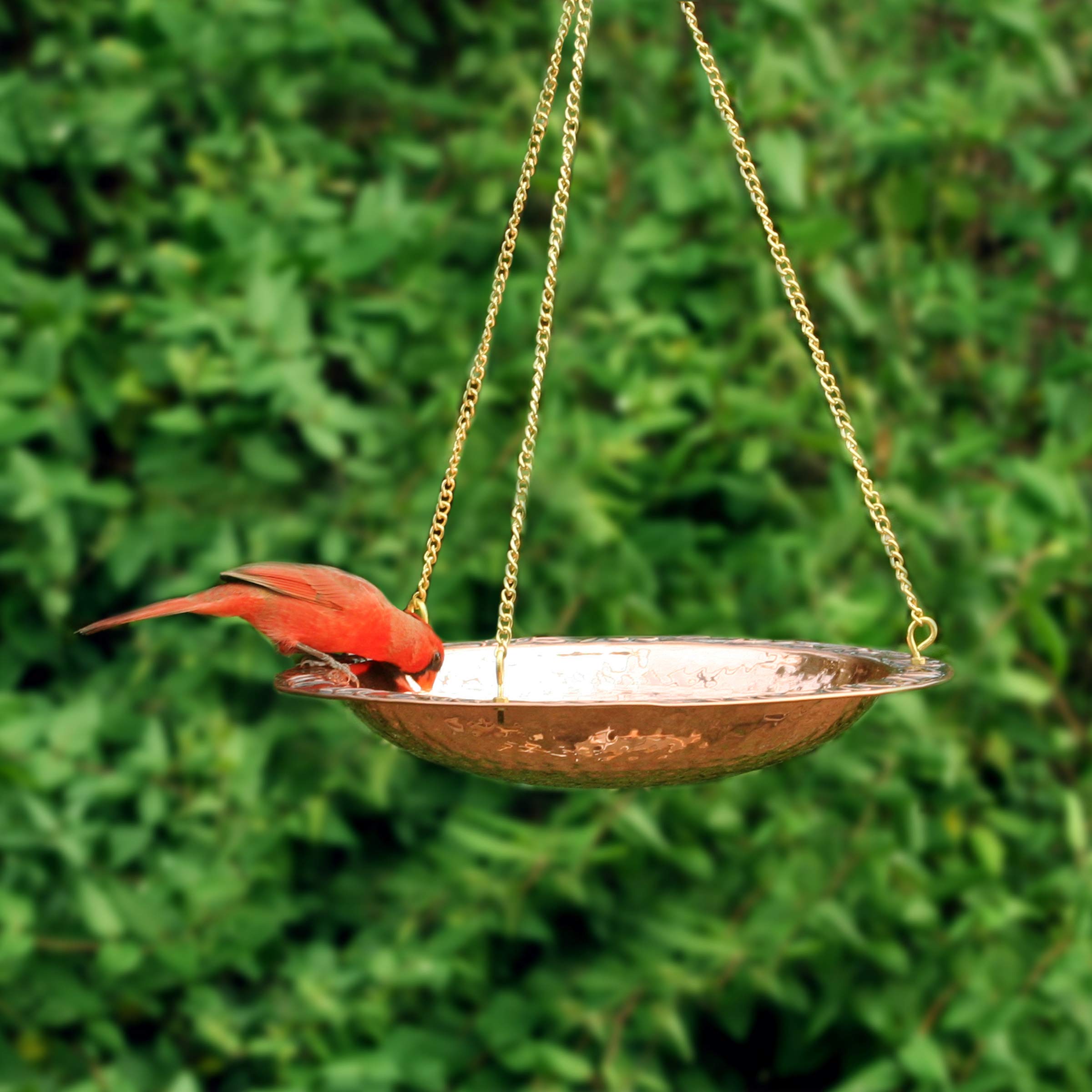 Good Directions Vogeltränke aus reinem Kupfer, zum Aufhängen, 34,3 cm Durchmesser, mit Messingkette, Vogelfutterstation