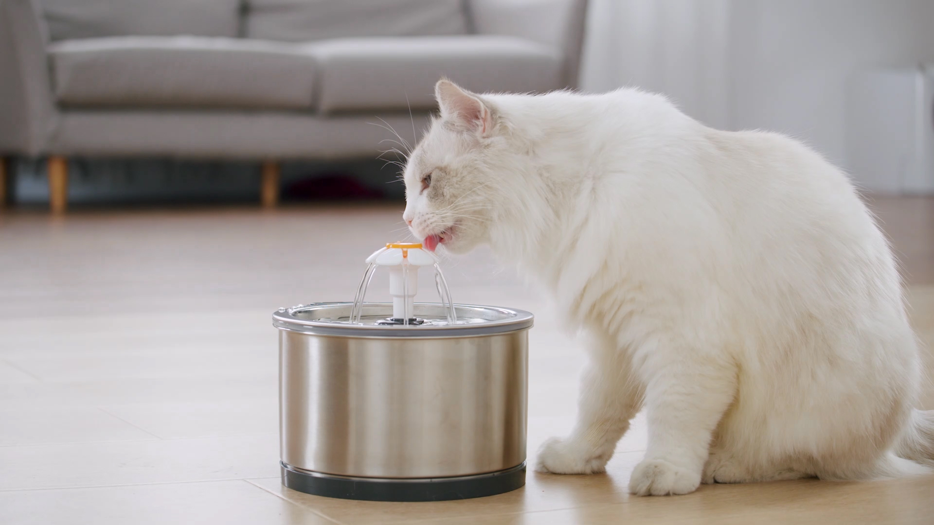 Cat Water Fountain Stainless Steel, 84oz/2.5L Pet Drinking Fountain