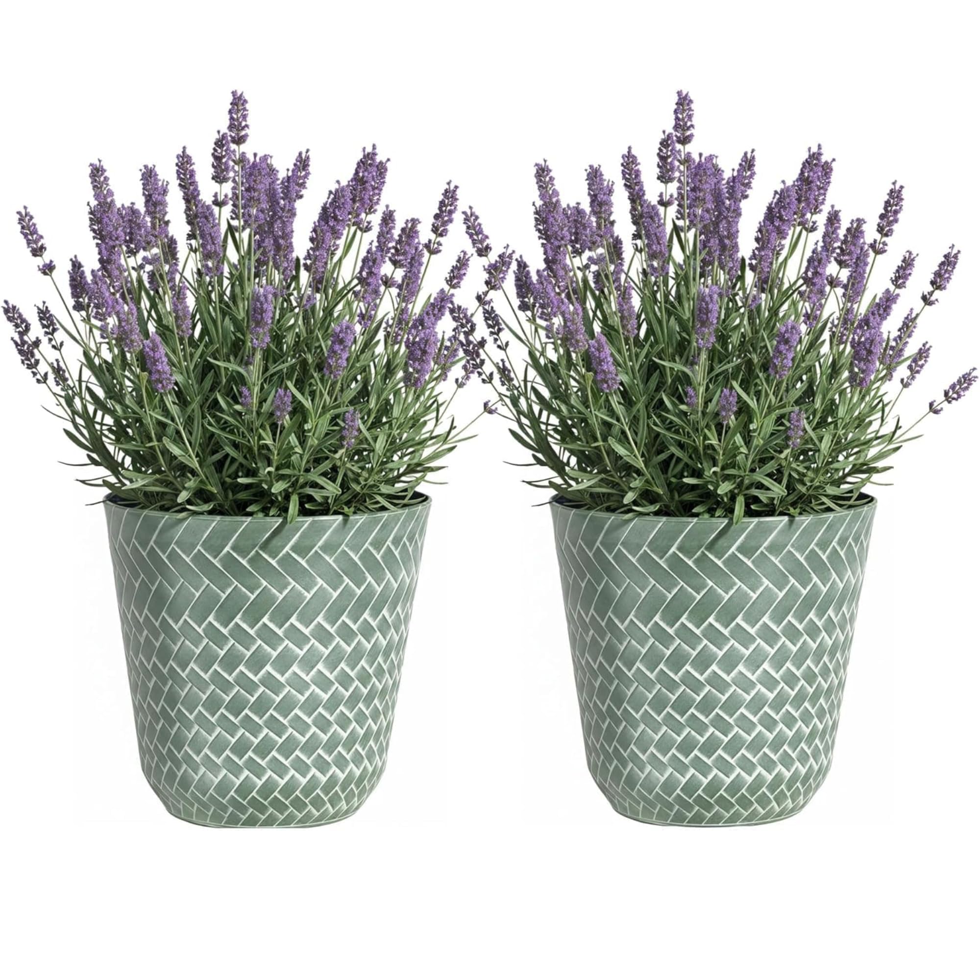 SG Traders Nantucket Plant Pot - Flower Planters Outdoor, Large Garden Pots Elegant Design, Versatile for Your Outdoor Space, Enhance Your Garden (Pack of 2)