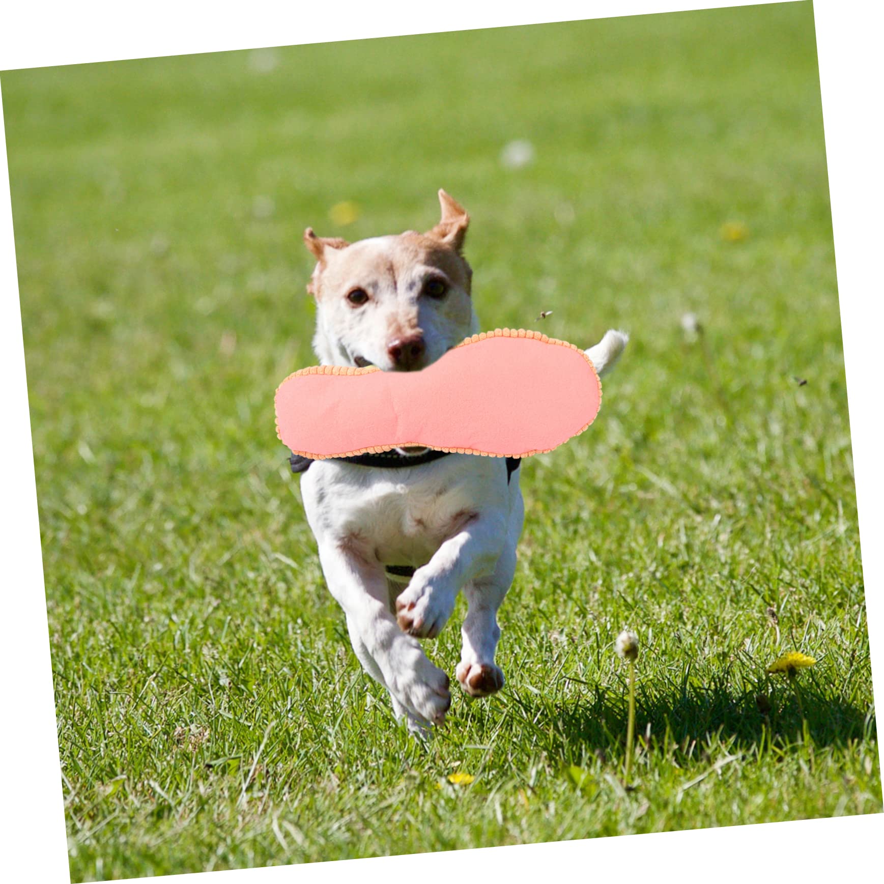 YARNOW 3pièces Jouet à Mâcher pour Chien Forme De Jouet Éducatif pour Chiens pour Grincement Nettoyage Dents
