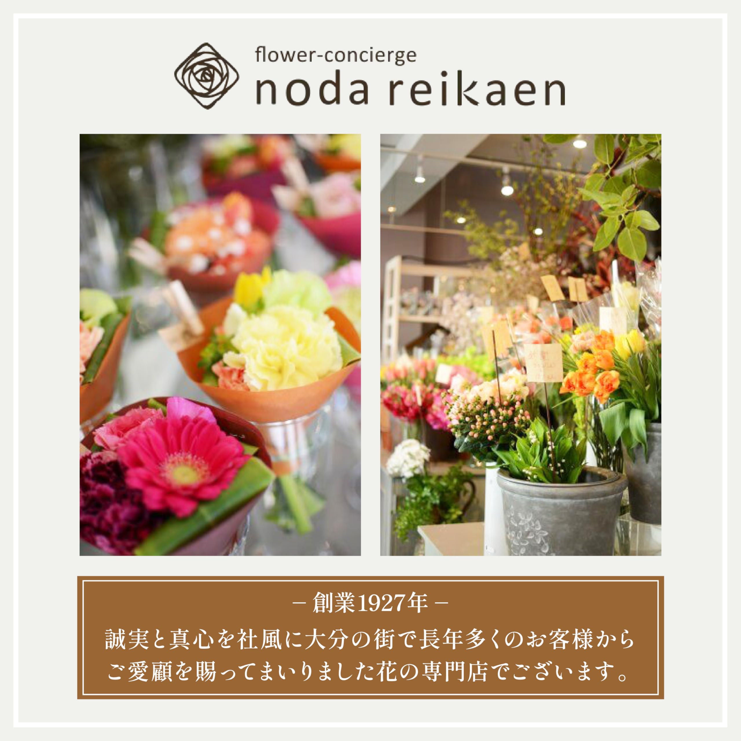 Amazon｜【野田麗花園】 シクラメン ラッピング 鉢植え 鉢花 ギフト