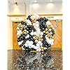Product Photo 8