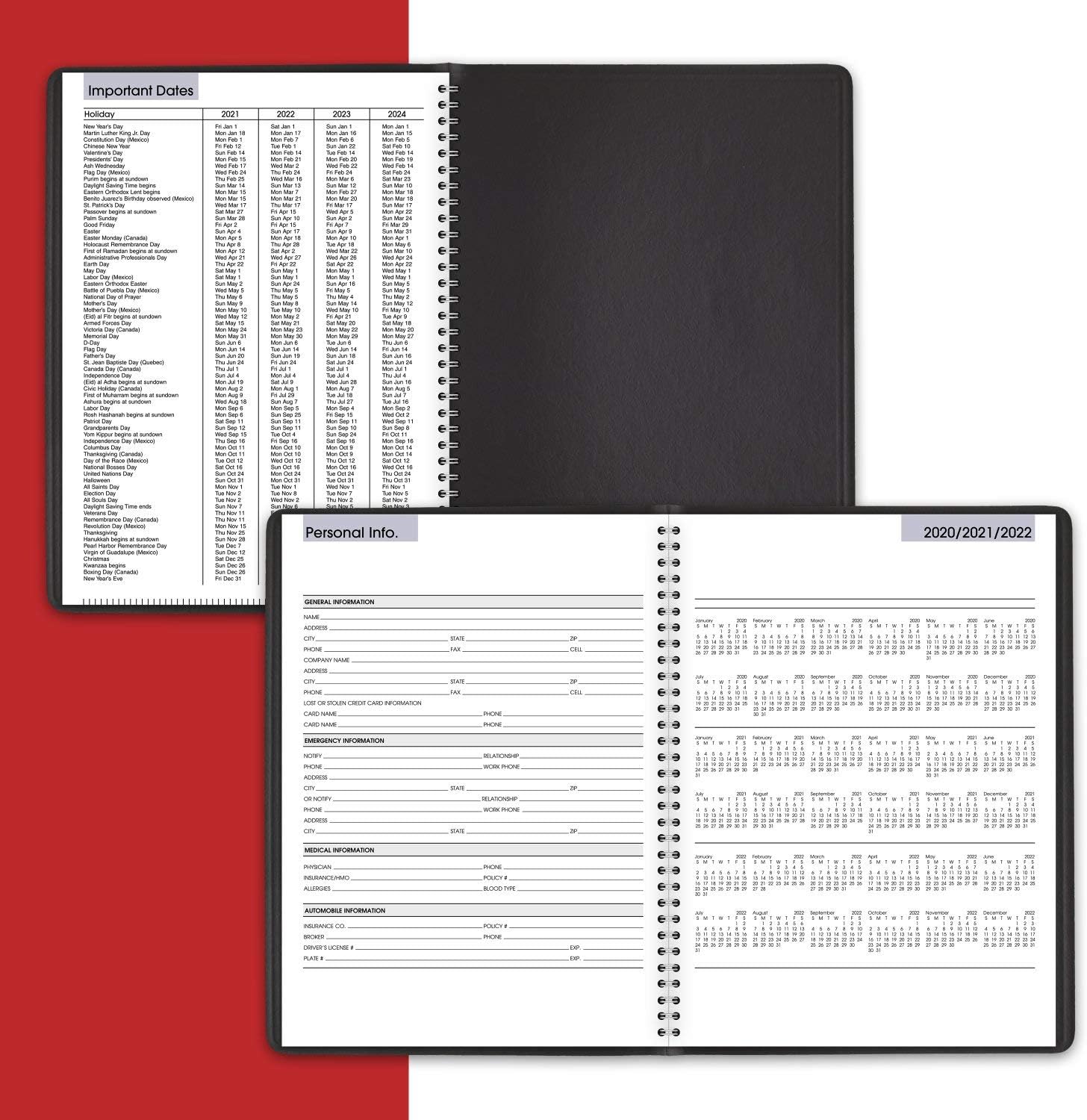 2021 Weekly Appointment Book & Planner by AT-A-GLANCE, 8" x 11", Large, DayMinder, Black (G5200021)