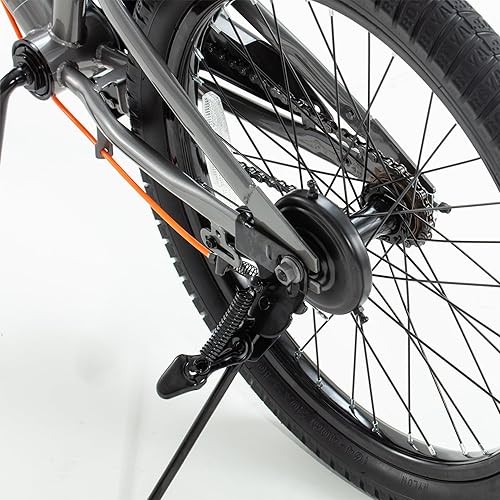 Miniatura 13 de RoyalBaby Kids Bike EZ Balance to Pedal Dual Handbrake Toddlers Boys Girls Bicycle 12-20 Inch for Age 3-10 Years