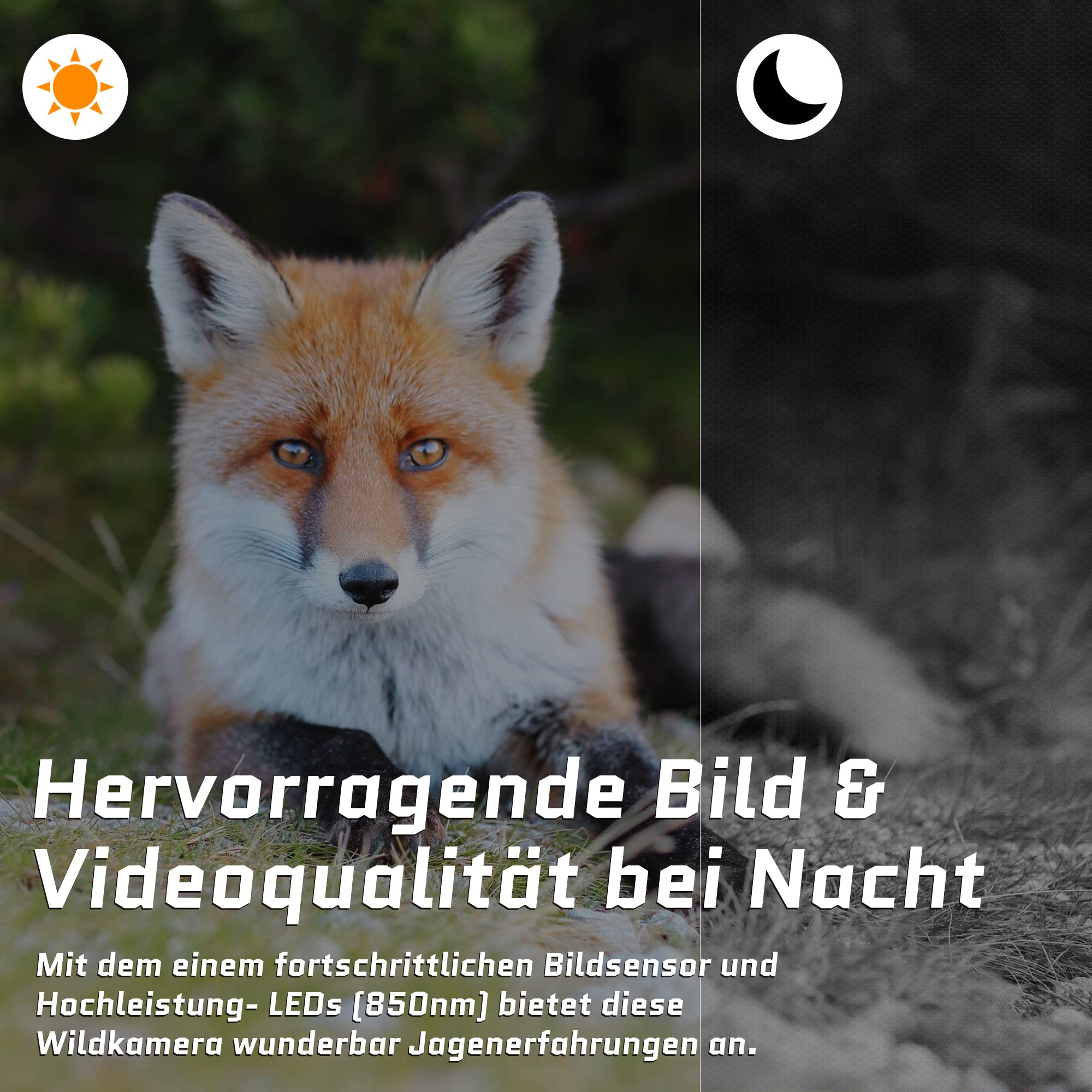 Camojojo Trace Wildkamera Handyübertragung mit SIM 4G LTE, Wildtierkamera mit bewegungsmelder Nachtsicht, Wärmebildkamera Jagd mit IP66 wasserfest, 32GB SD-Karte, APP- Multifunktionen längere Laufzeit