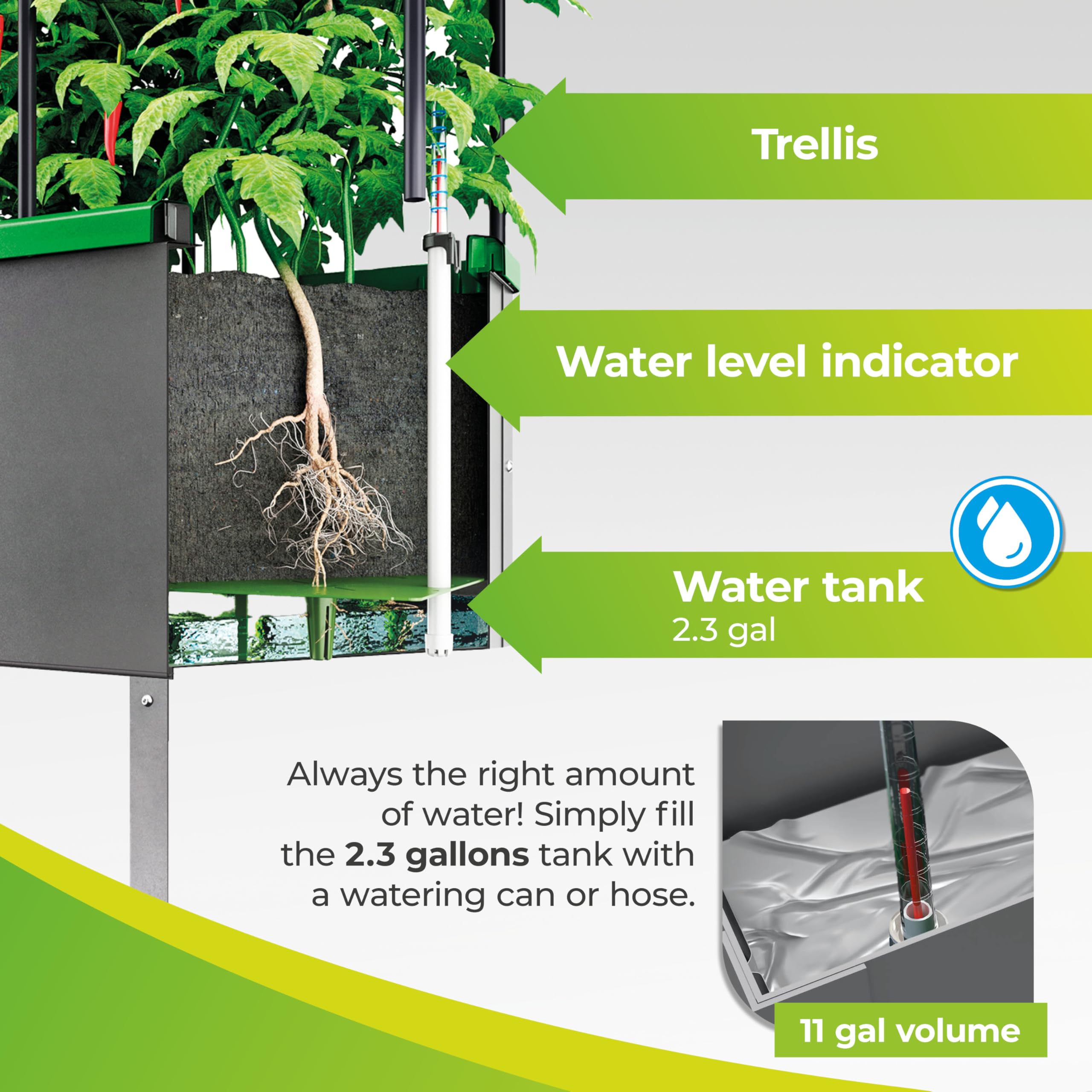 Bio Green JGL-HDB-L City Jungle Heidelberg - Vaso elevato, autoirrigante