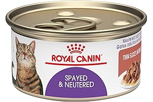 Royal Canin Kitten Food Wet Can: Essential Nutrition for Healthy Growth