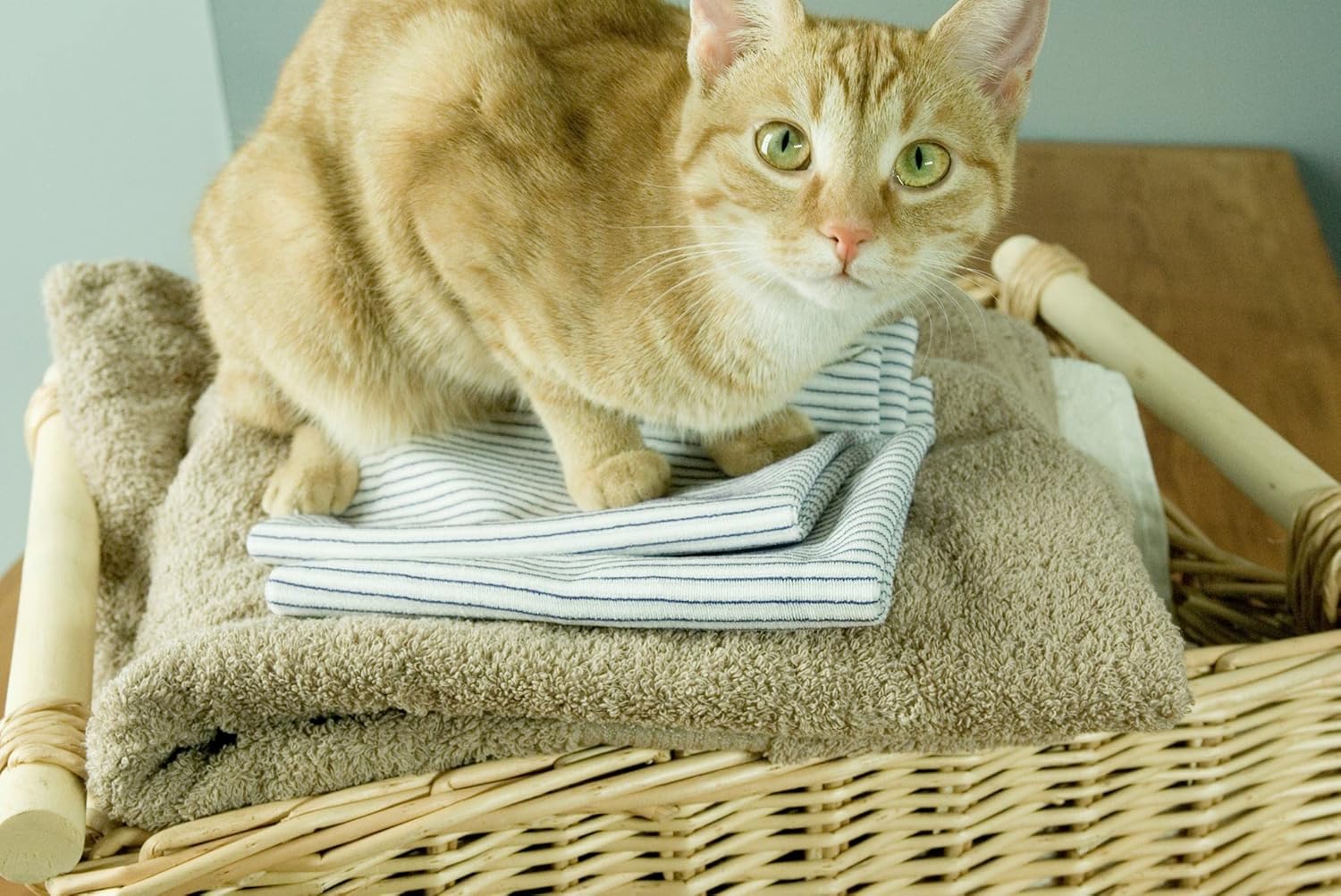 “Purecosheet – Reusable Dryer Sheets: Safe, Hypoallergenic” Low Tox