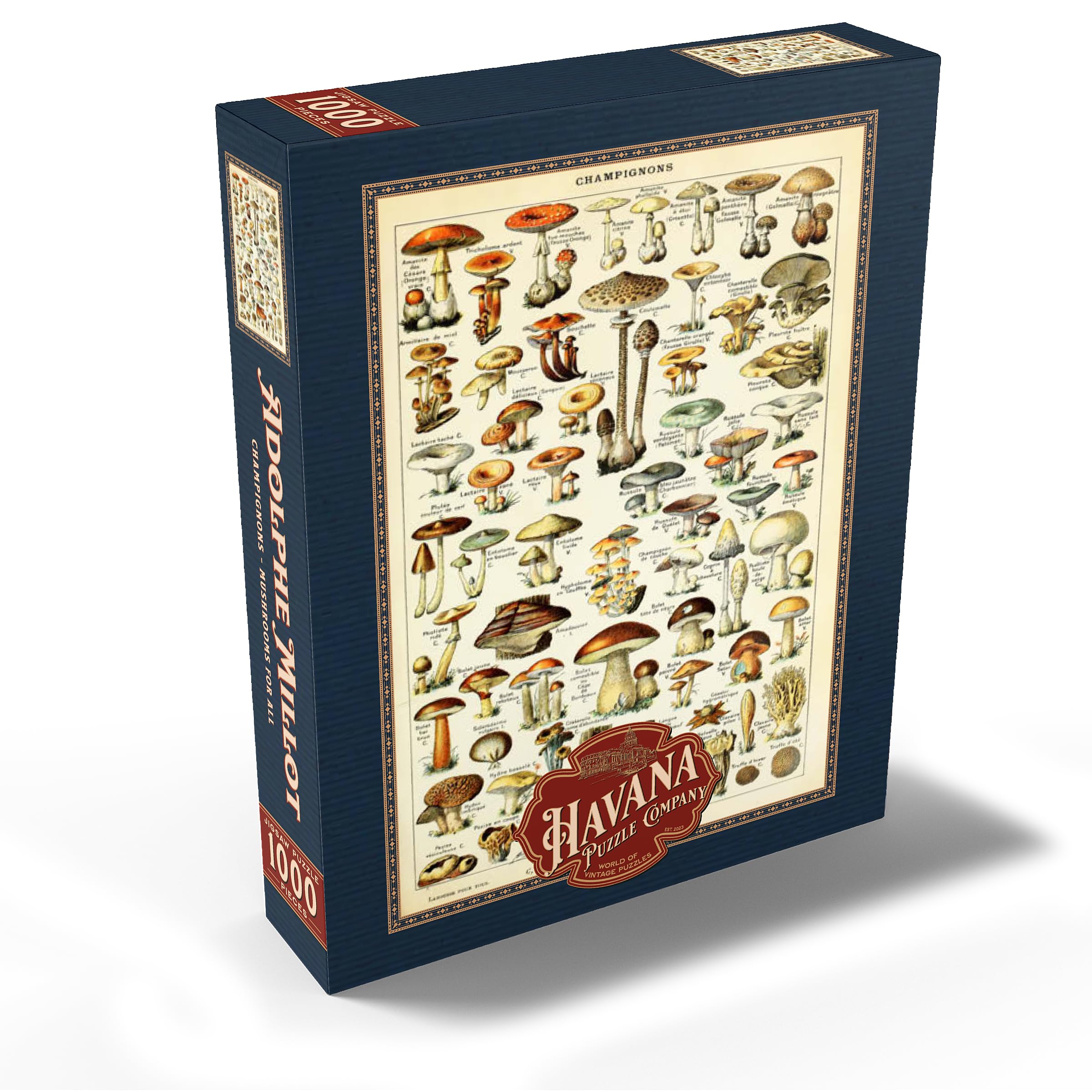 Amazon.com: MyPuzzle Champignons - Mushrooms for All, Vintage Art