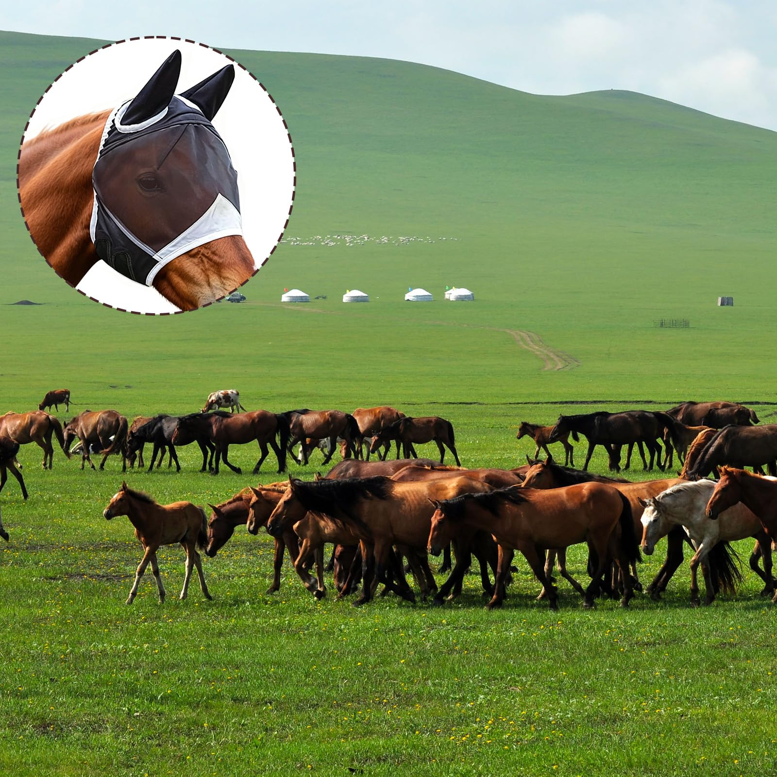 Masque Anti-Mouches Noir pour Chevaux Protection UV Respirant (L)