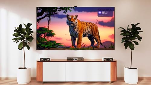 Powerful Relaxation & Focus Aid Pro - HD Tiger Videos with a Time & Weather Display - Thumbnail 4